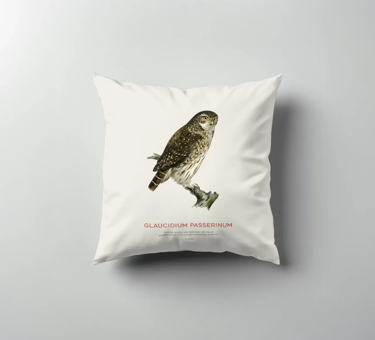 Sperlingskauz oder Glaucidium passerinum (Sperlingskauz) Kissen von Vintagrafica