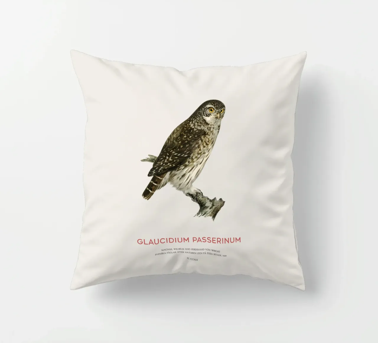 Sperlingskauz oder Glaucidium passerinum (Sperlingskauz) Kissen von Vintagrafica