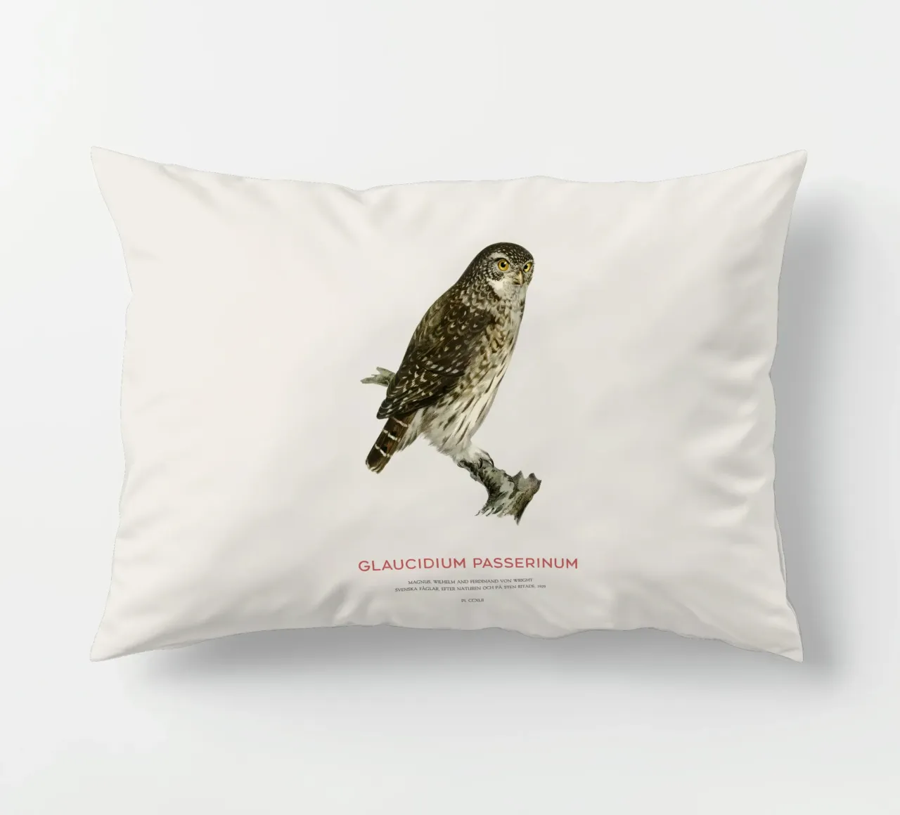 Sperlingskauz oder Glaucidium passerinum (Sperlingskauz) Kissen von Vintagrafica