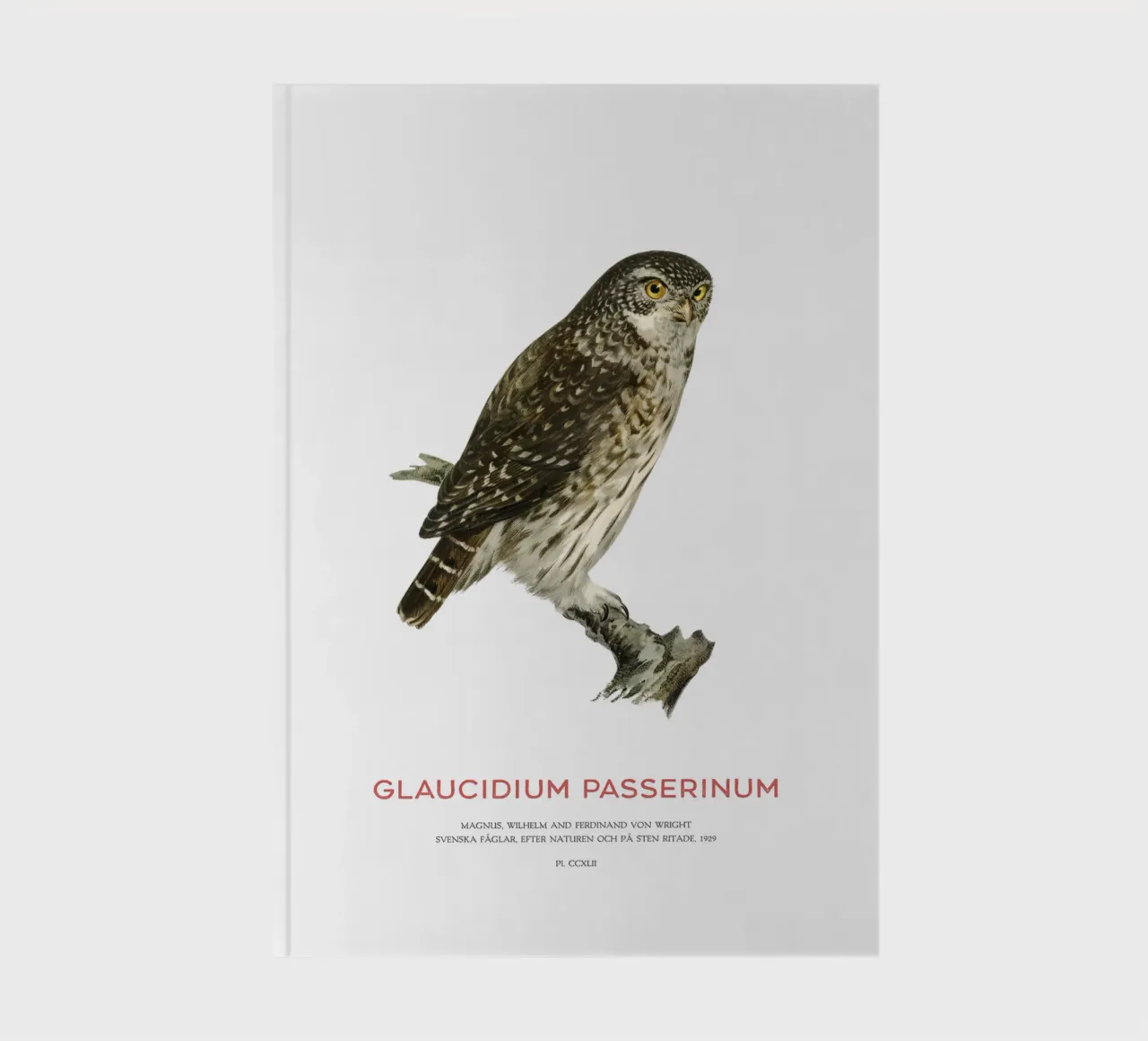 Eurasian pygmy owl or Glaucidium passerinum notebook by Vintagrafica