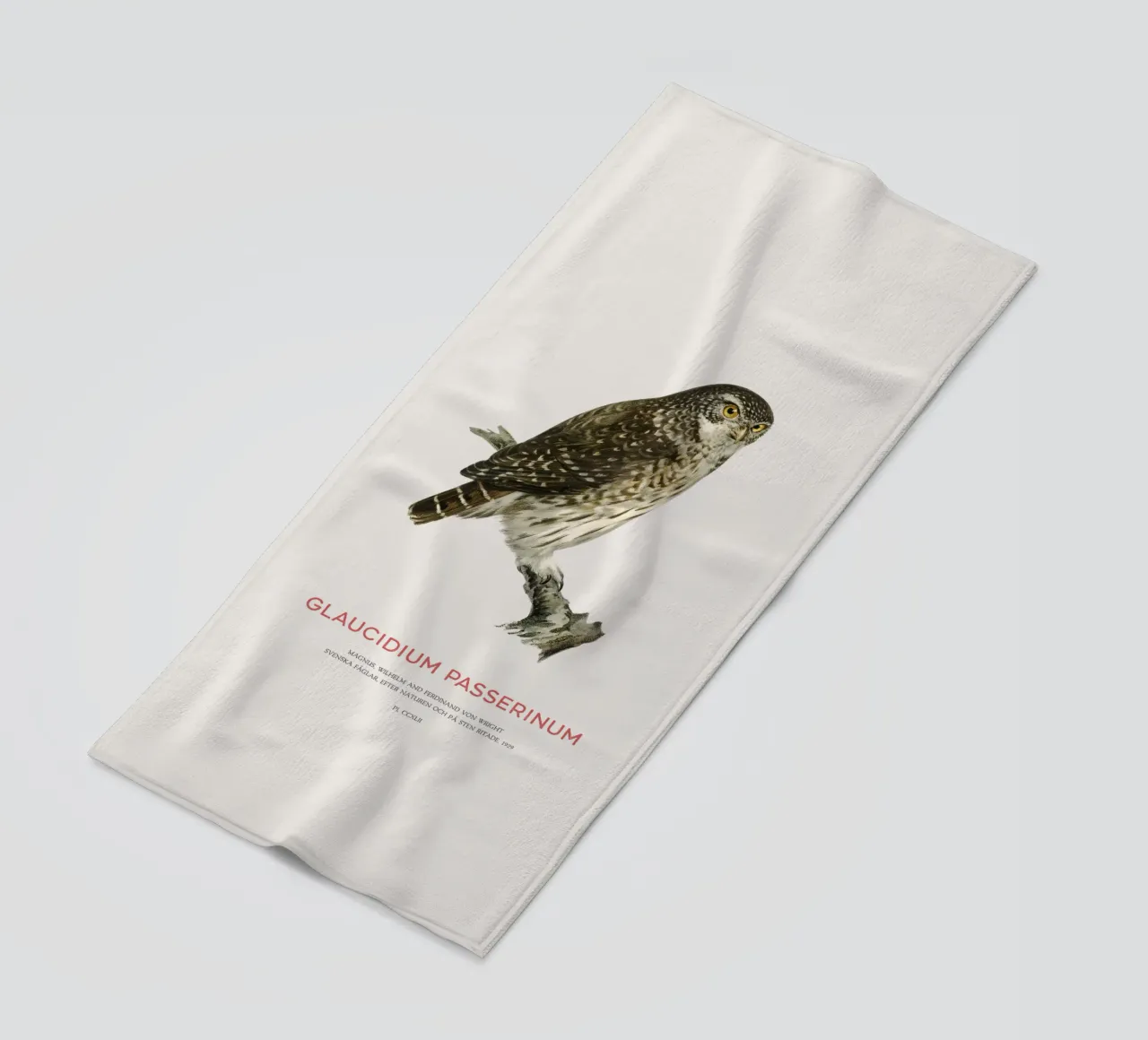 Eurasian pygmy owl or Glaucidium passerinum beach towel by Vintagrafica
