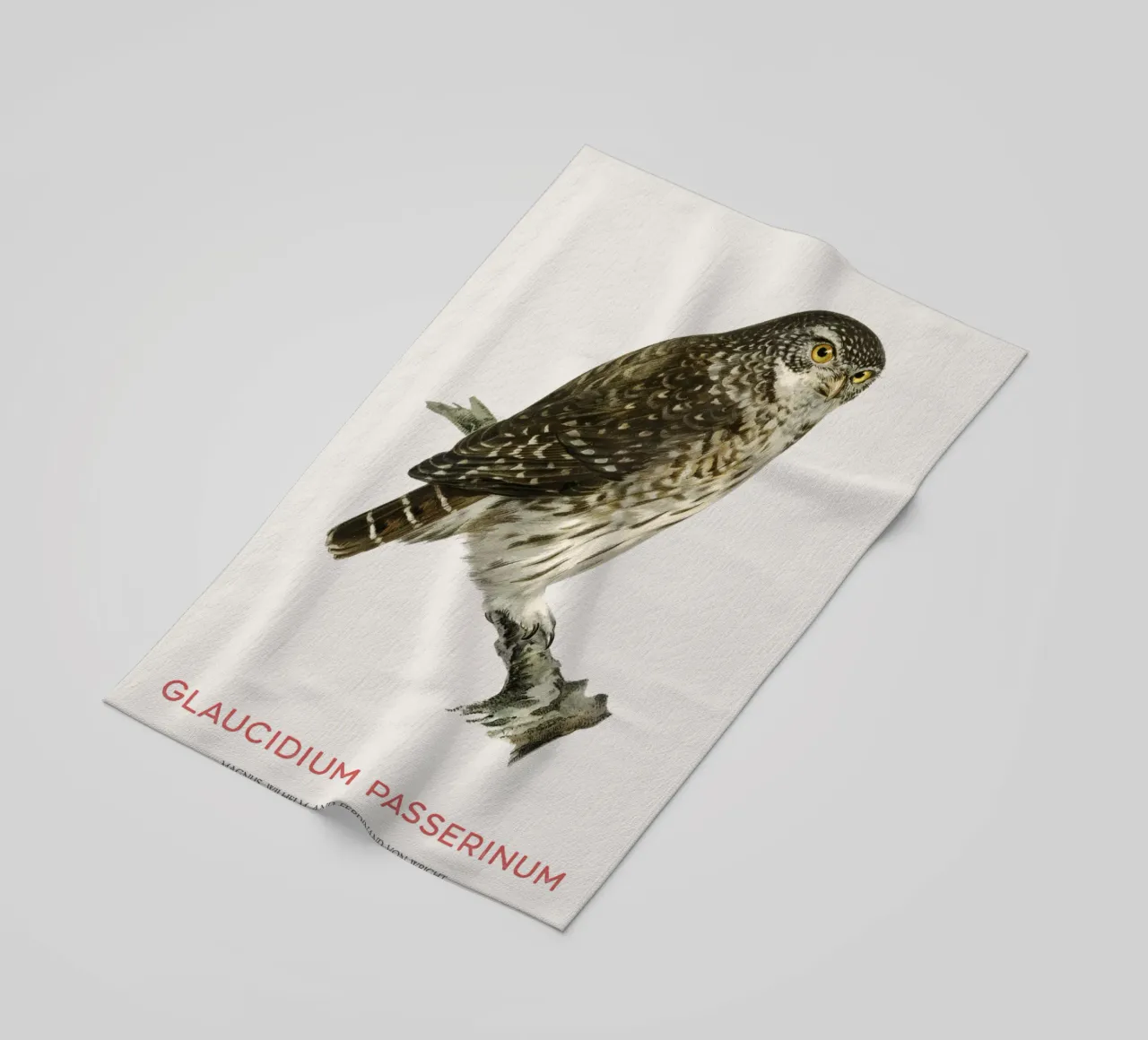 Eurasian pygmy owl or Glaucidium passerinum beach towel by Vintagrafica
