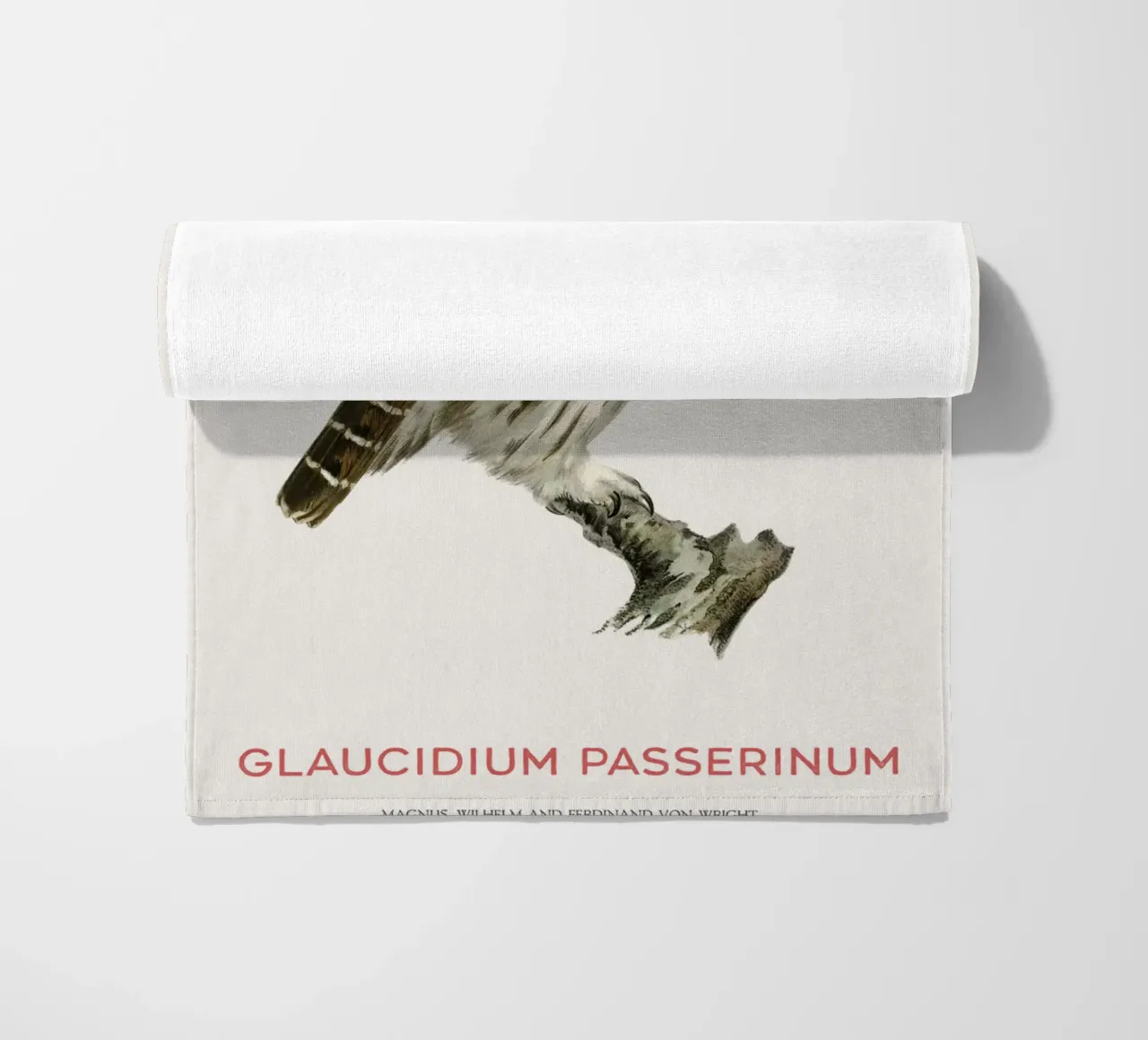 Eurasian pygmy owl or Glaucidium passerinum beach towel by Vintagrafica