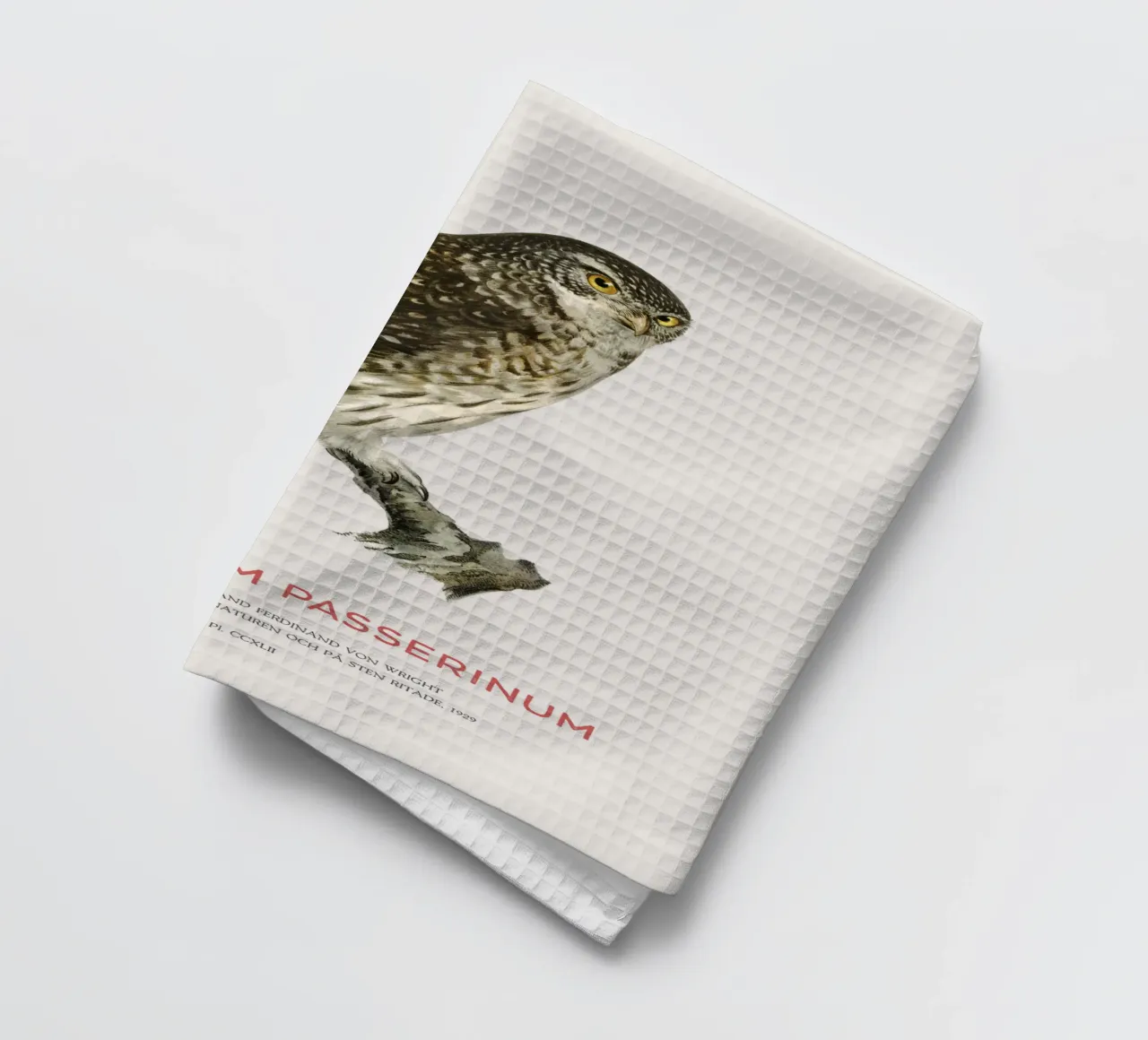 La chouette pygmée d'Eurasie ou Glaucidium passerinum torchon de Vintagrafica