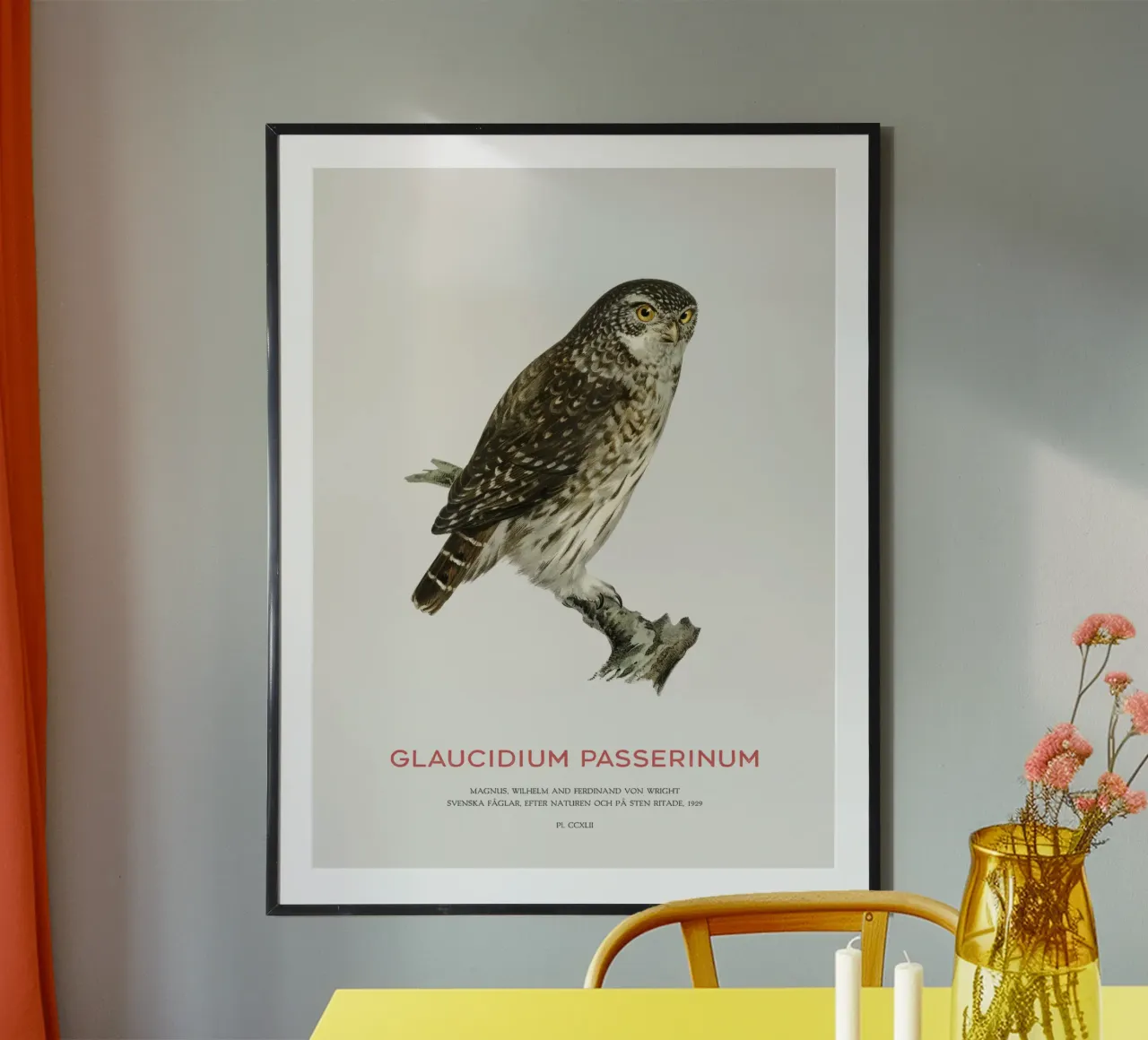 Sperlingskauz oder Glaucidium passerinum (Sperlingskauz) Hahnemühle von Vintagrafica