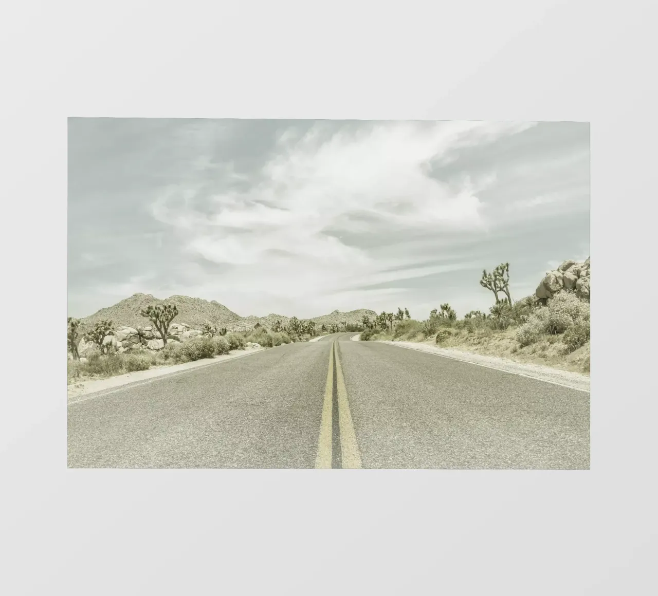 Joshua Trees, Park Boulevard | Vintage telo in pvc da Melanie Viola