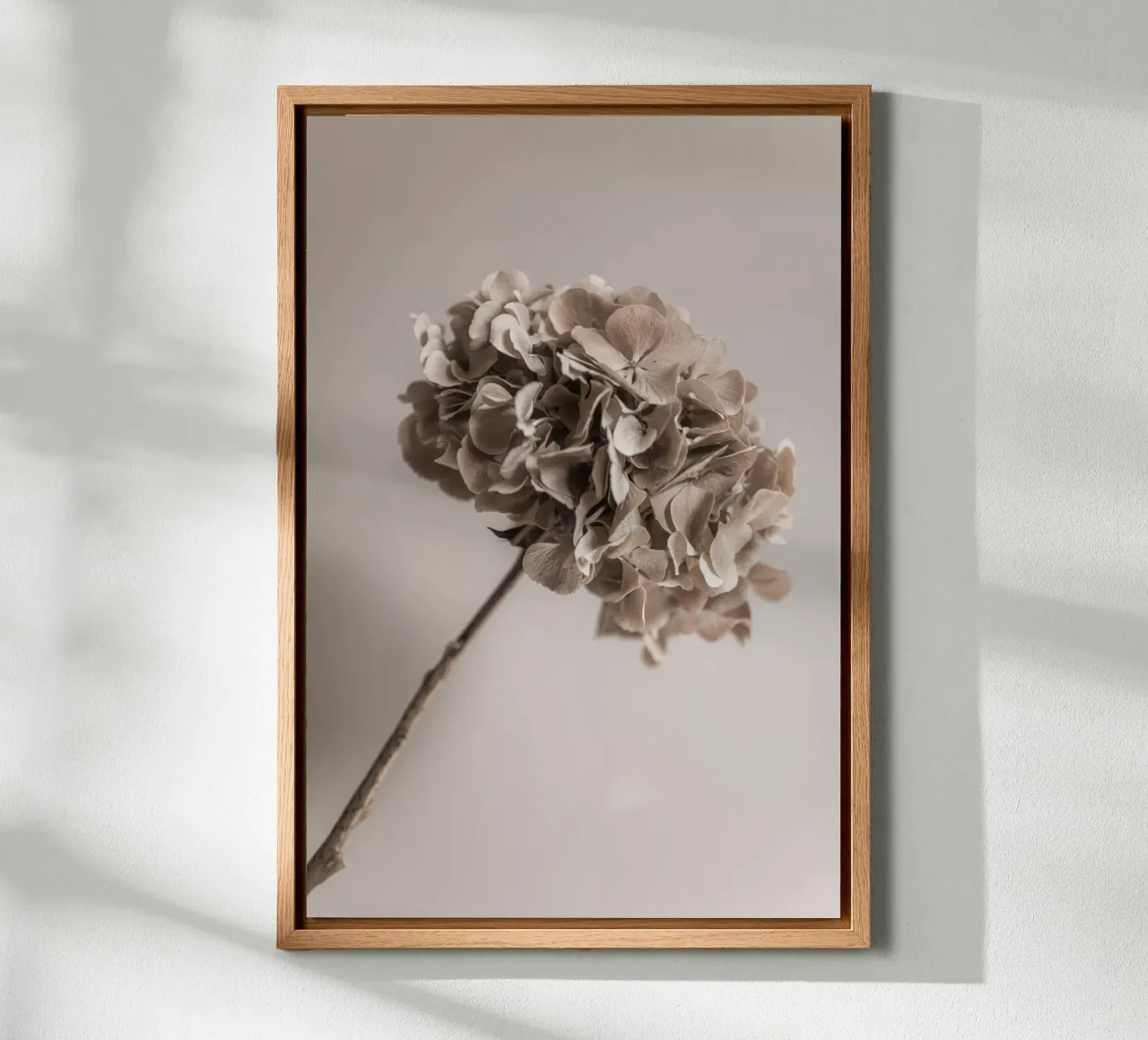 Hydrangea 5 tela con Cornice a cassetta da Mareike Böhmer Photography