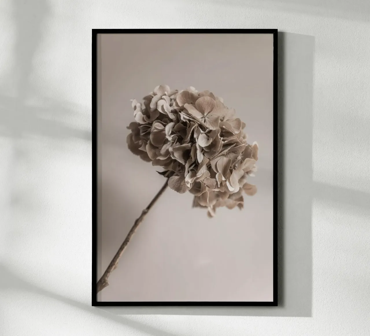 Hydrangea 5 poster da Mareike Böhmer Photography