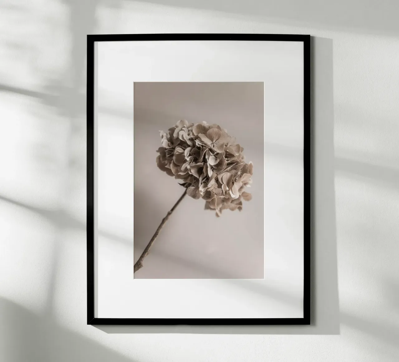 Hydrangea 5 carta hahnemühle da Mareike Böhmer Photography