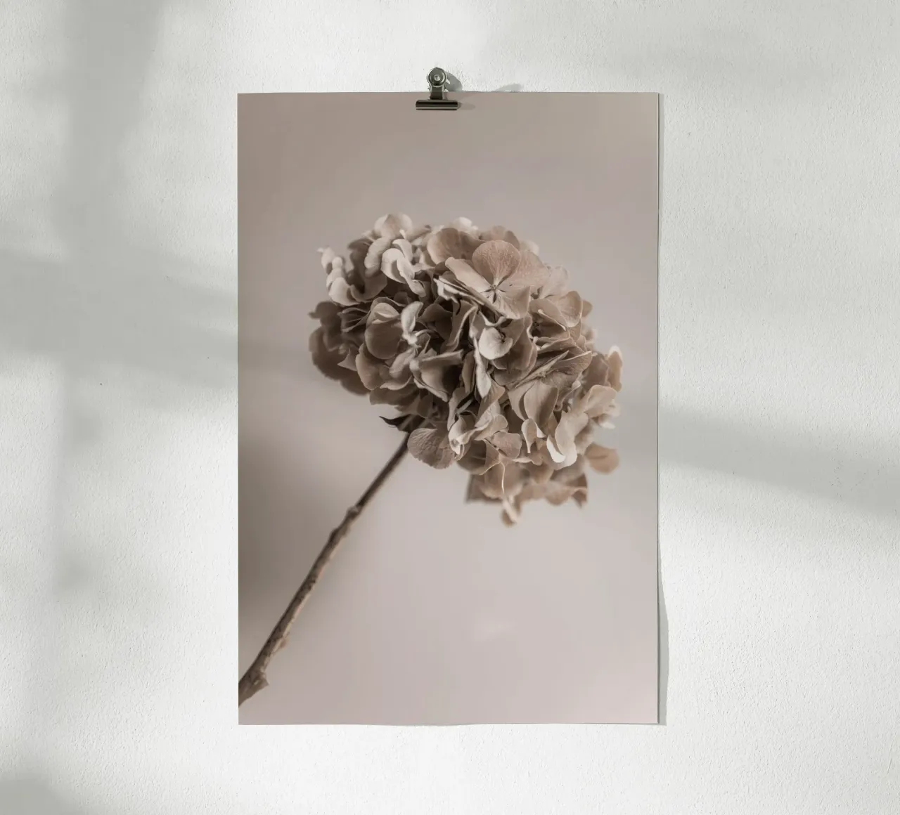 Hydrangea 5 poster da Mareike Böhmer Photography