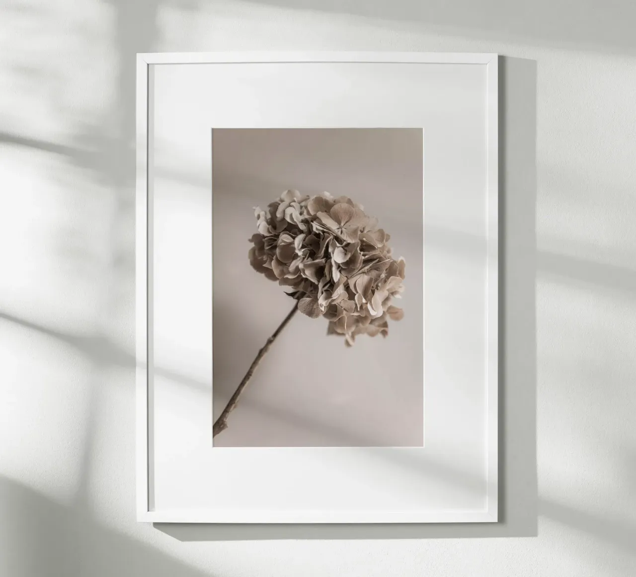 Hydrangea 5 poster da Mareike Böhmer Photography