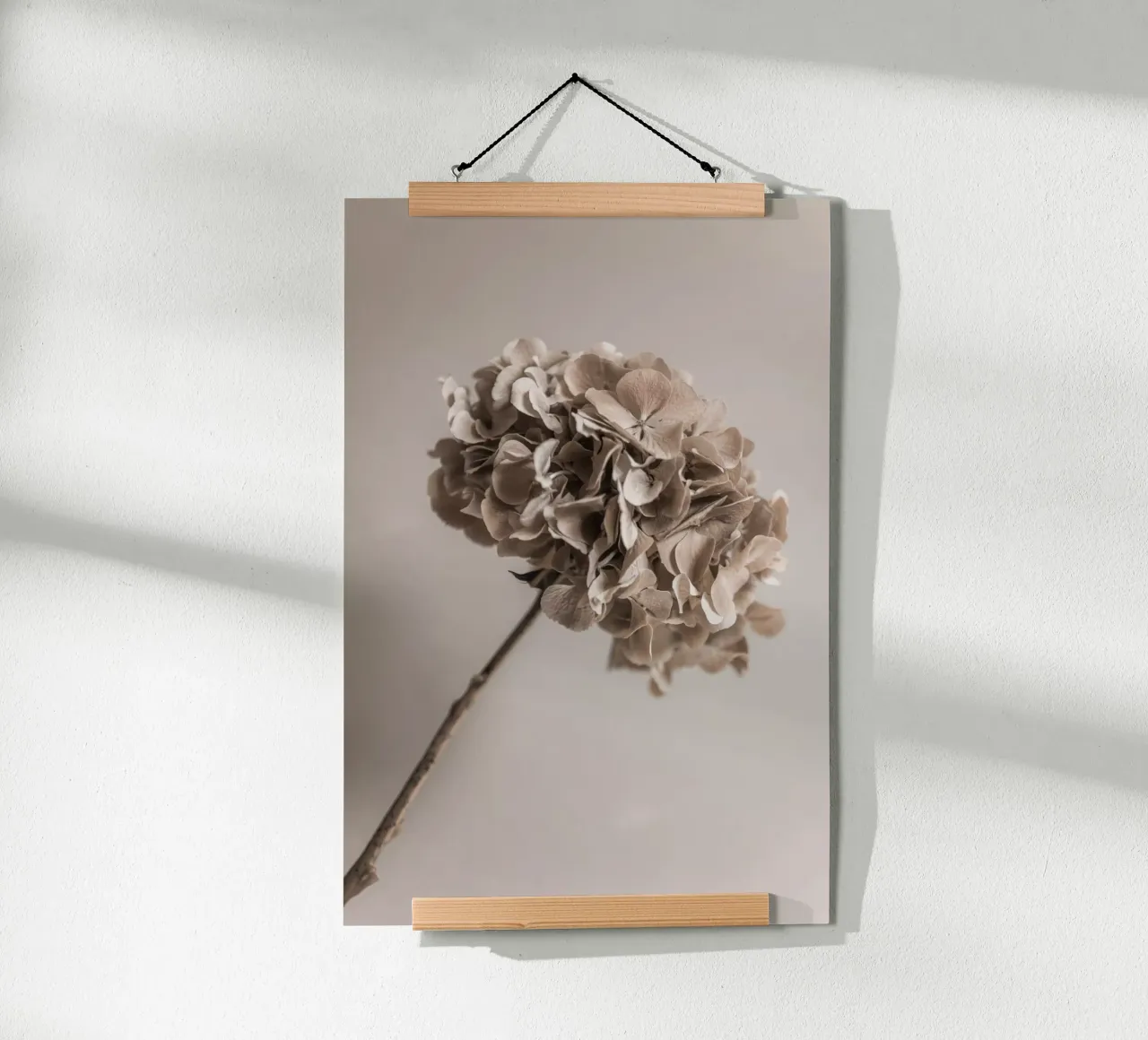 Hydrangea 5 poster da Mareike Böhmer Photography