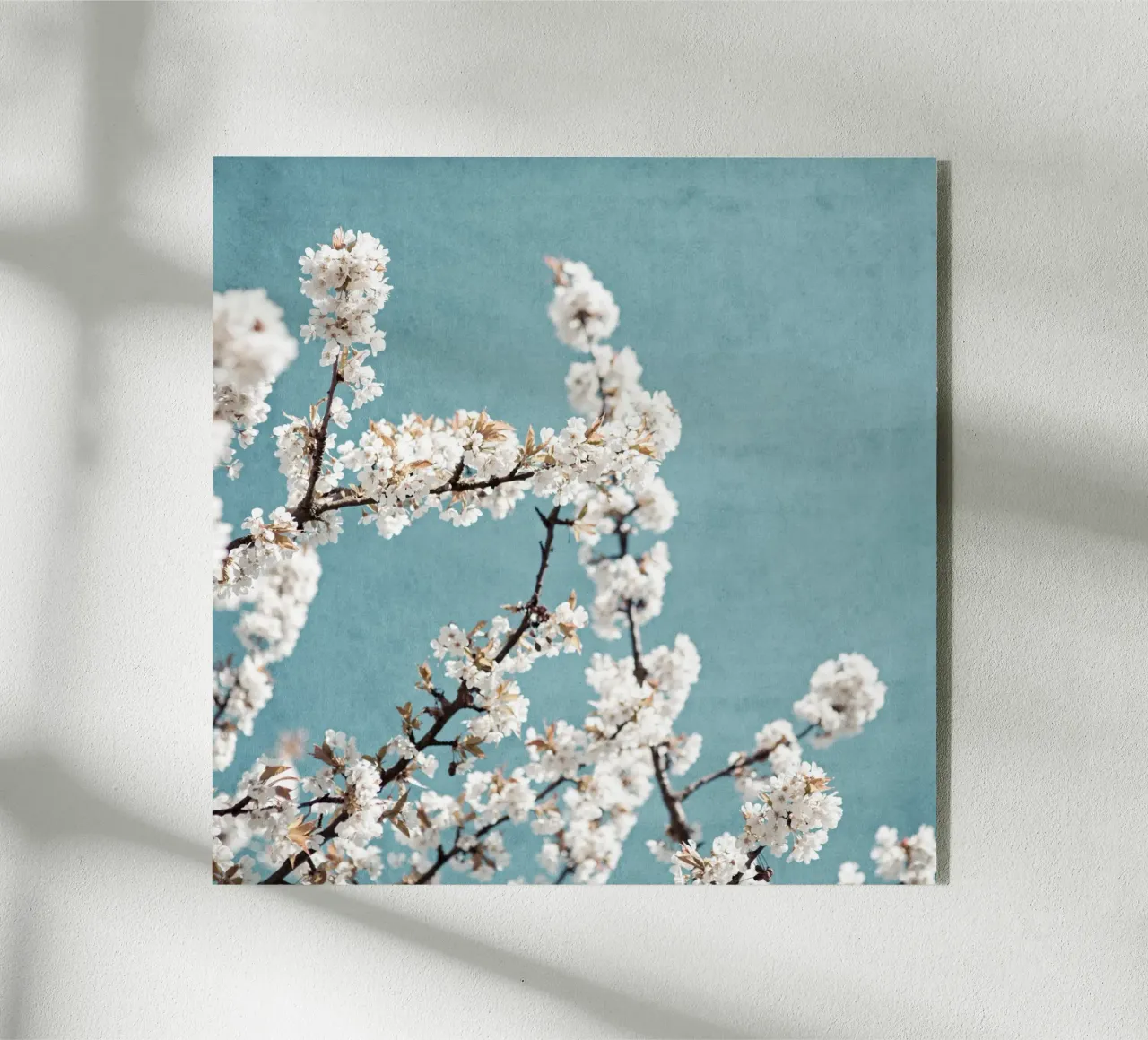 Spring 5 plexiglass da Mareike Böhmer Photography