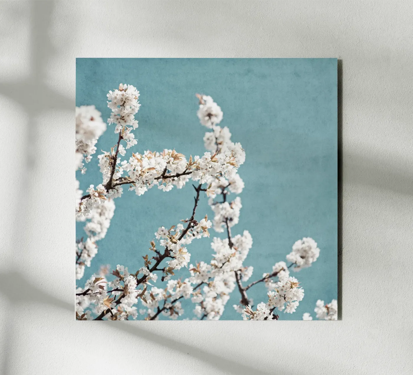 Spring 5 forex-plaat van Mareike Böhmer Photography
