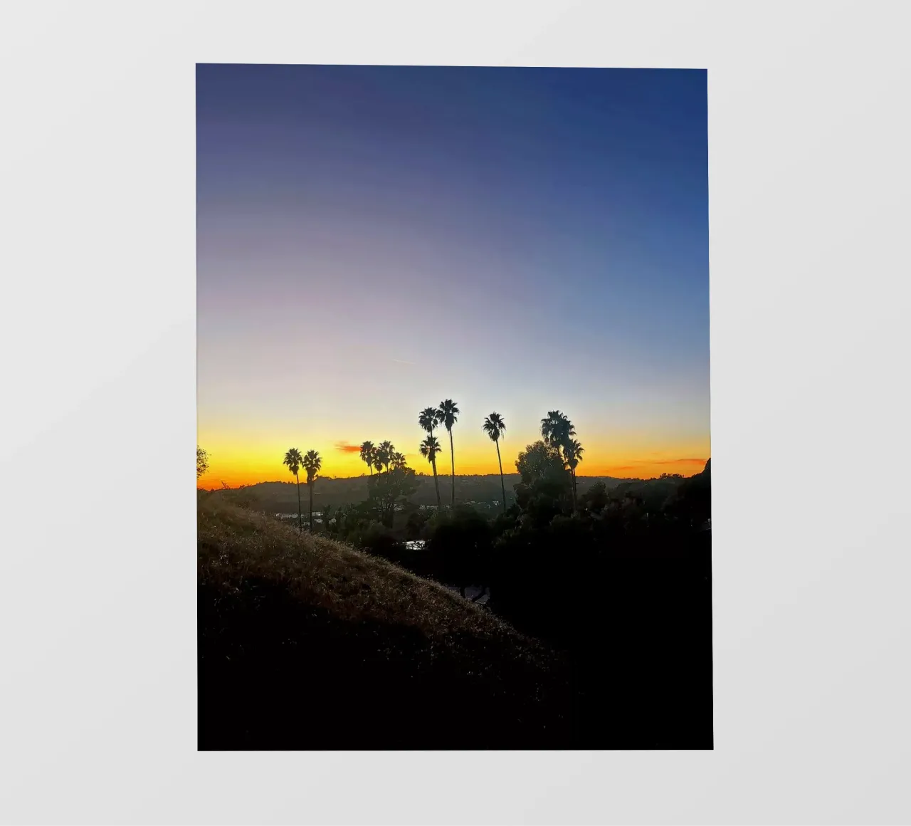 palm in los angeles telo in pvc da Reiselust