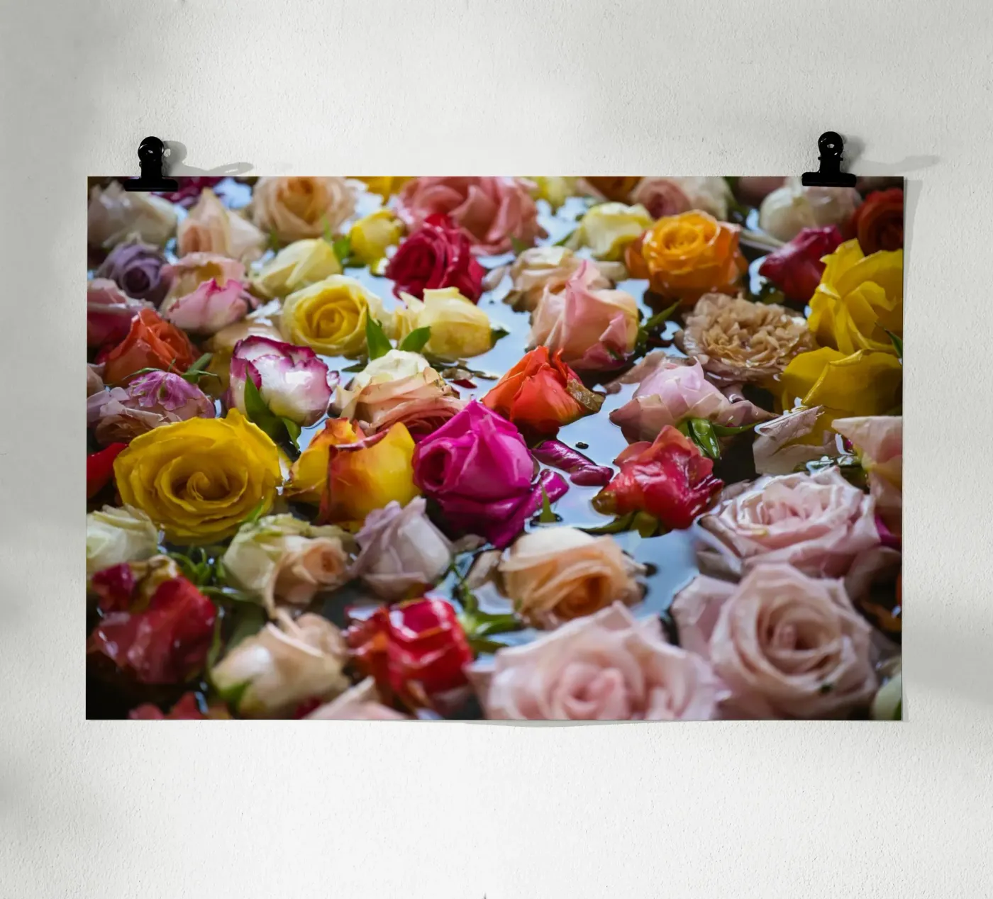 Floating Roses poster by Romy Mueller Waterworld