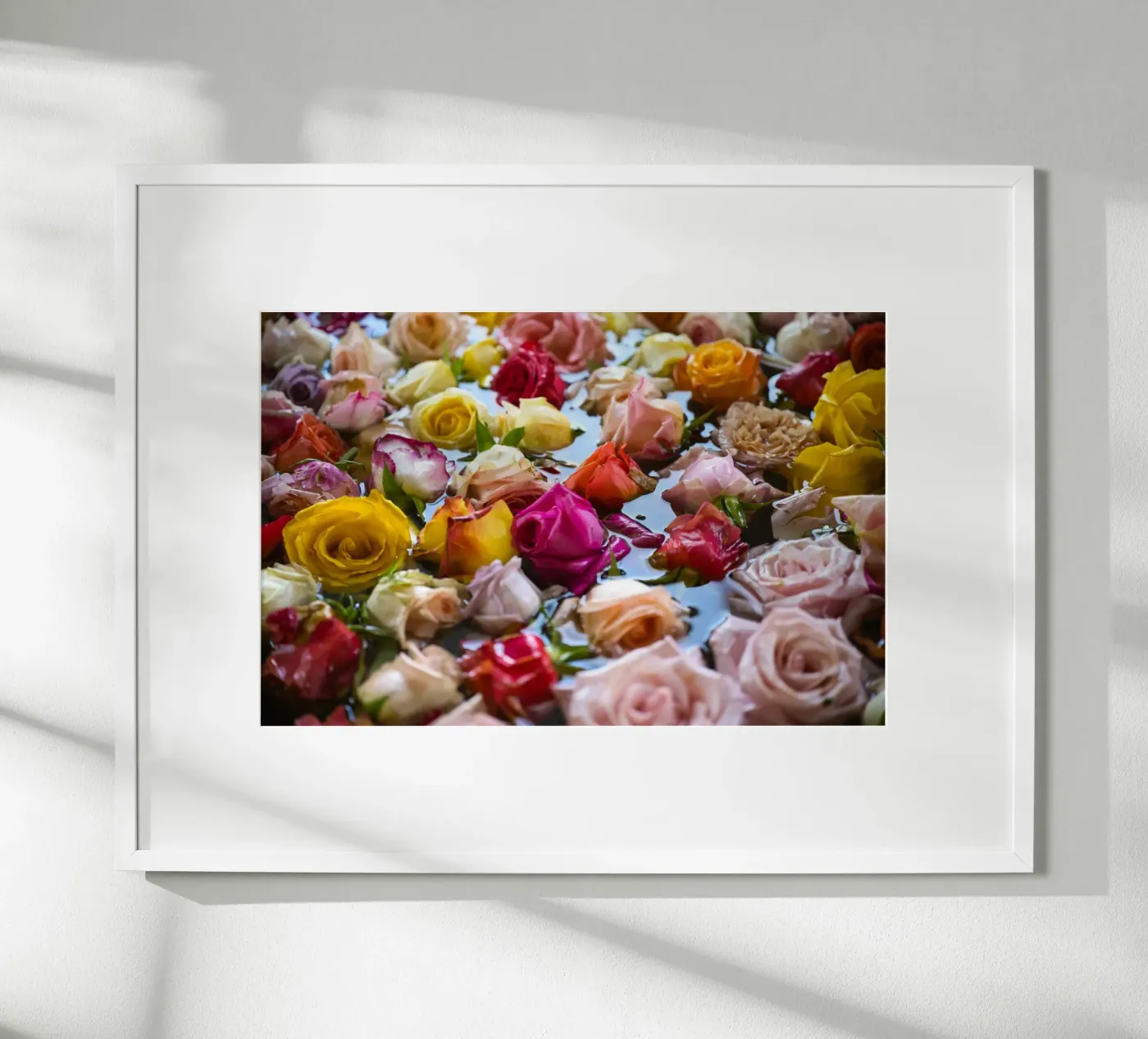 Floating Roses poster by Romy Mueller Waterworld