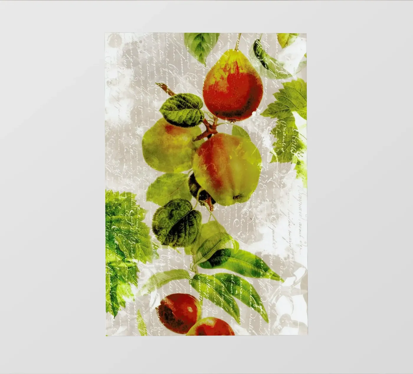 Botanic 3 pellicola backlit da Mr Cup