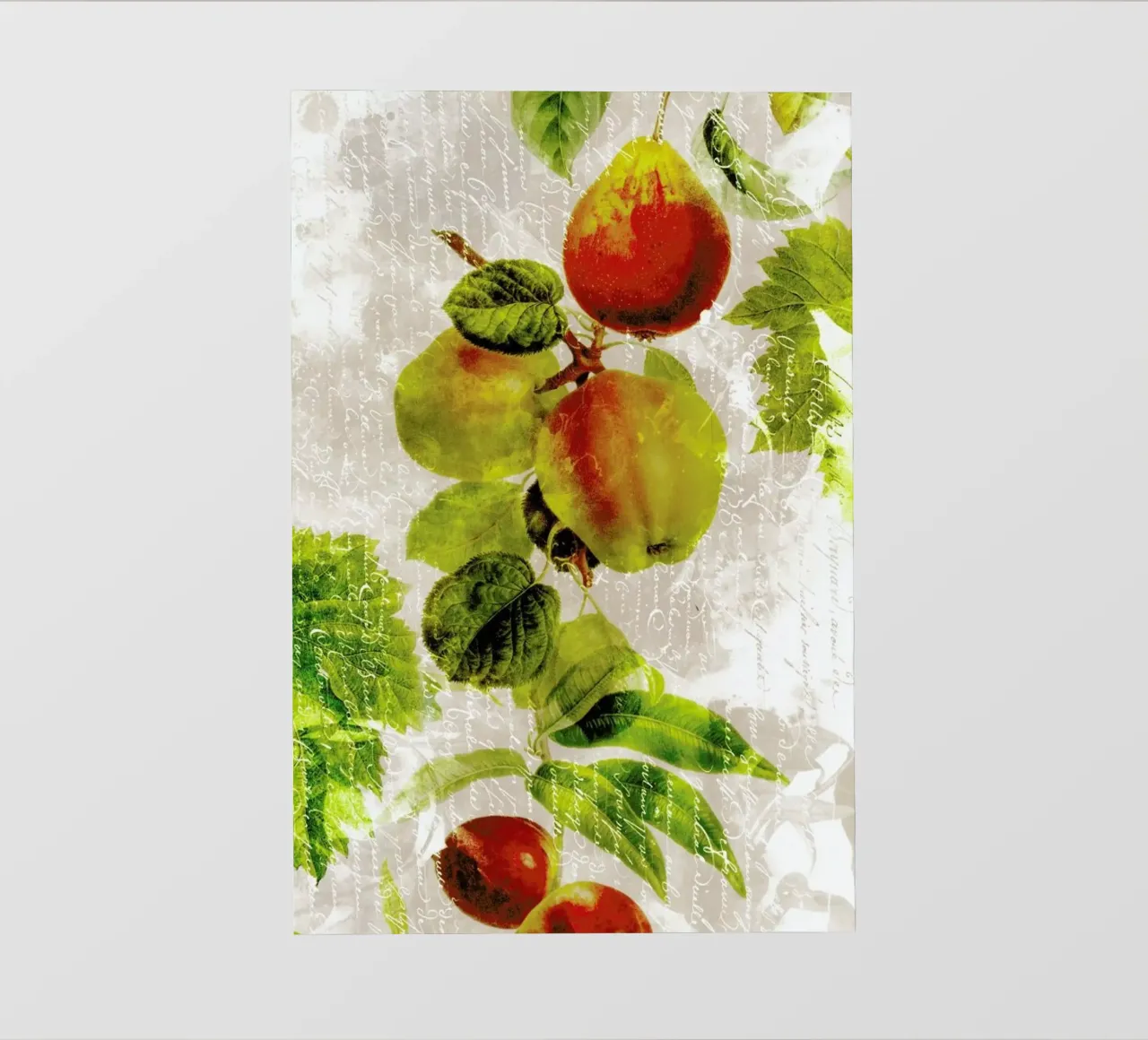 Botanic 3 telo in pvc da Mr Cup