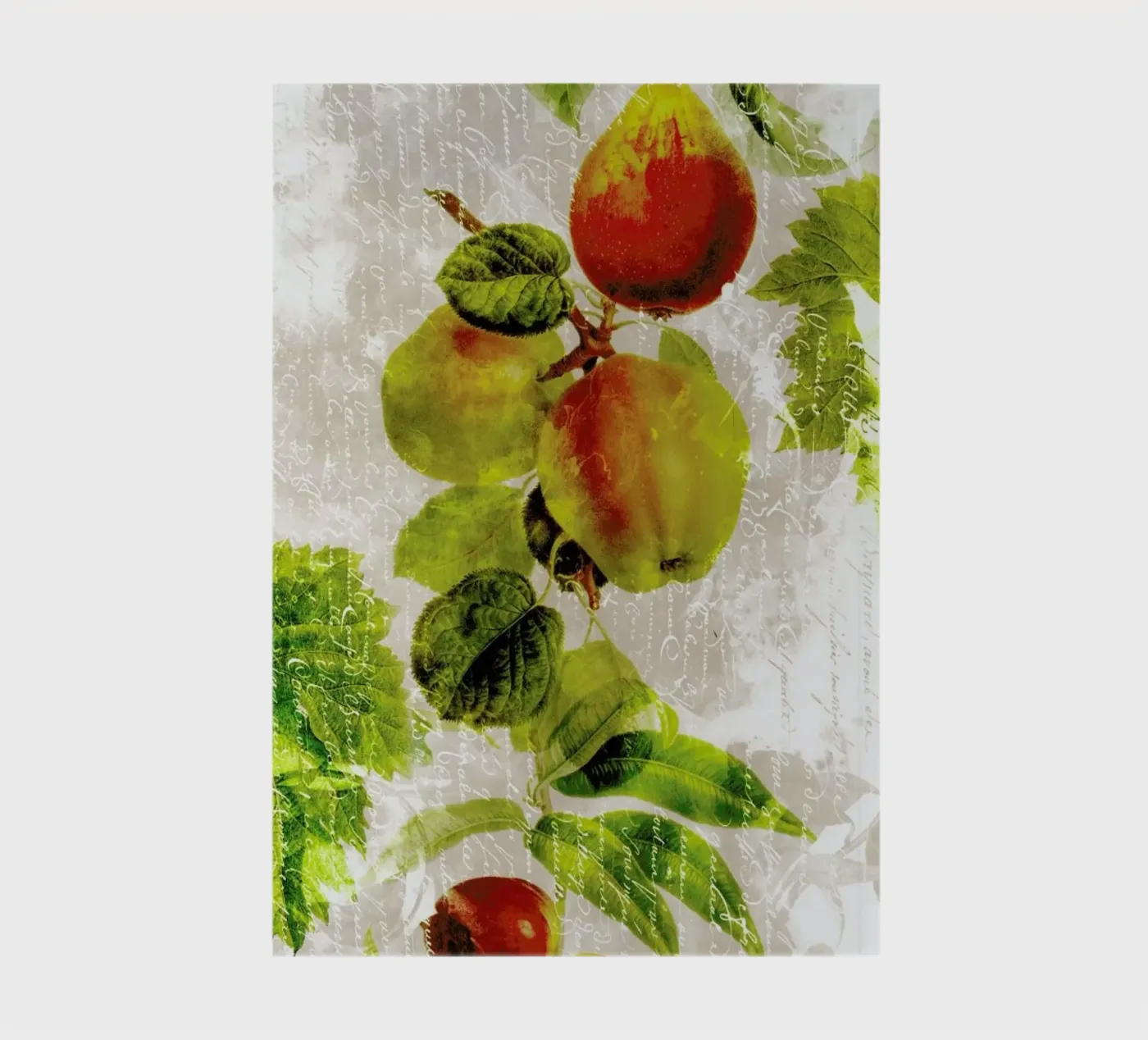 Botanic 3 notebook by Mr Cup