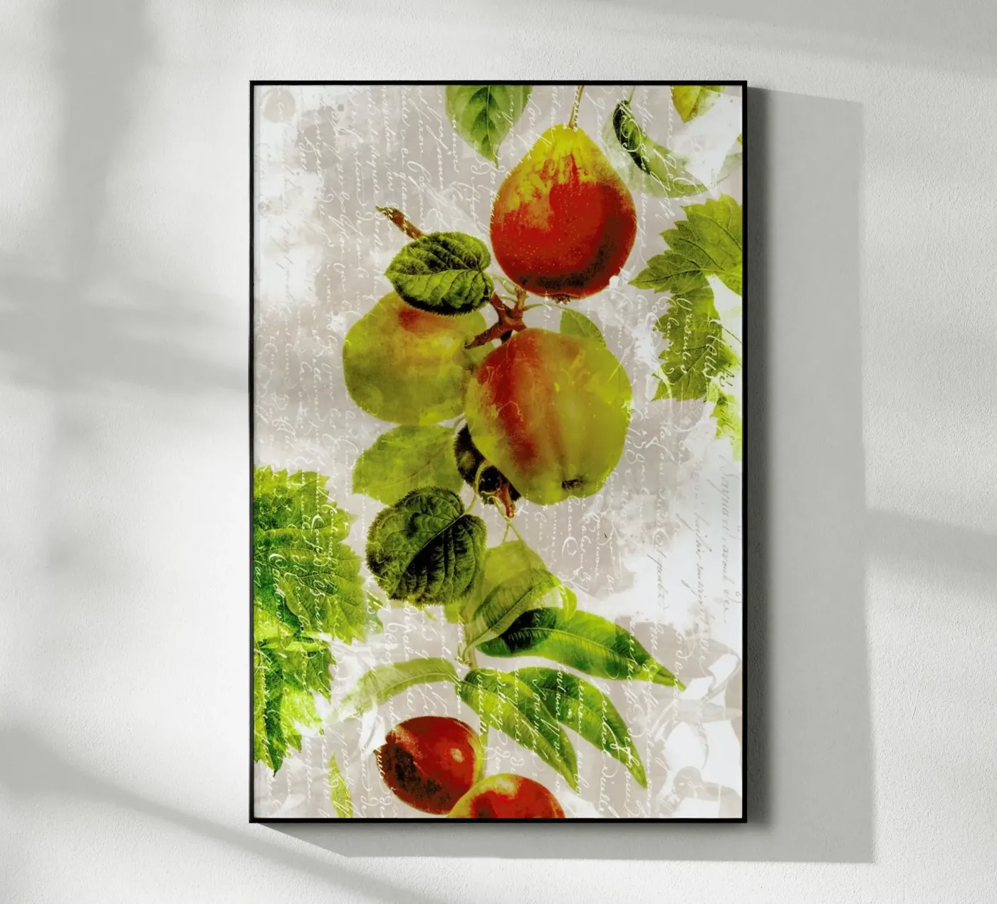 Botanic 3 plexiglas de Mr Cup