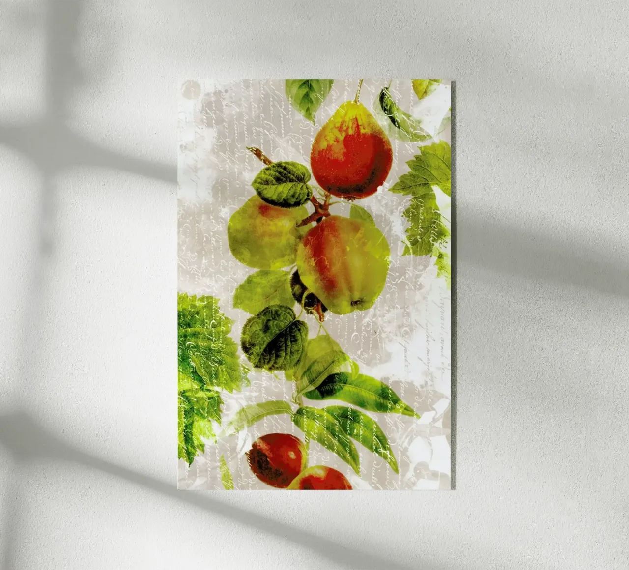 Botanic 3 plexiglas de Mr Cup