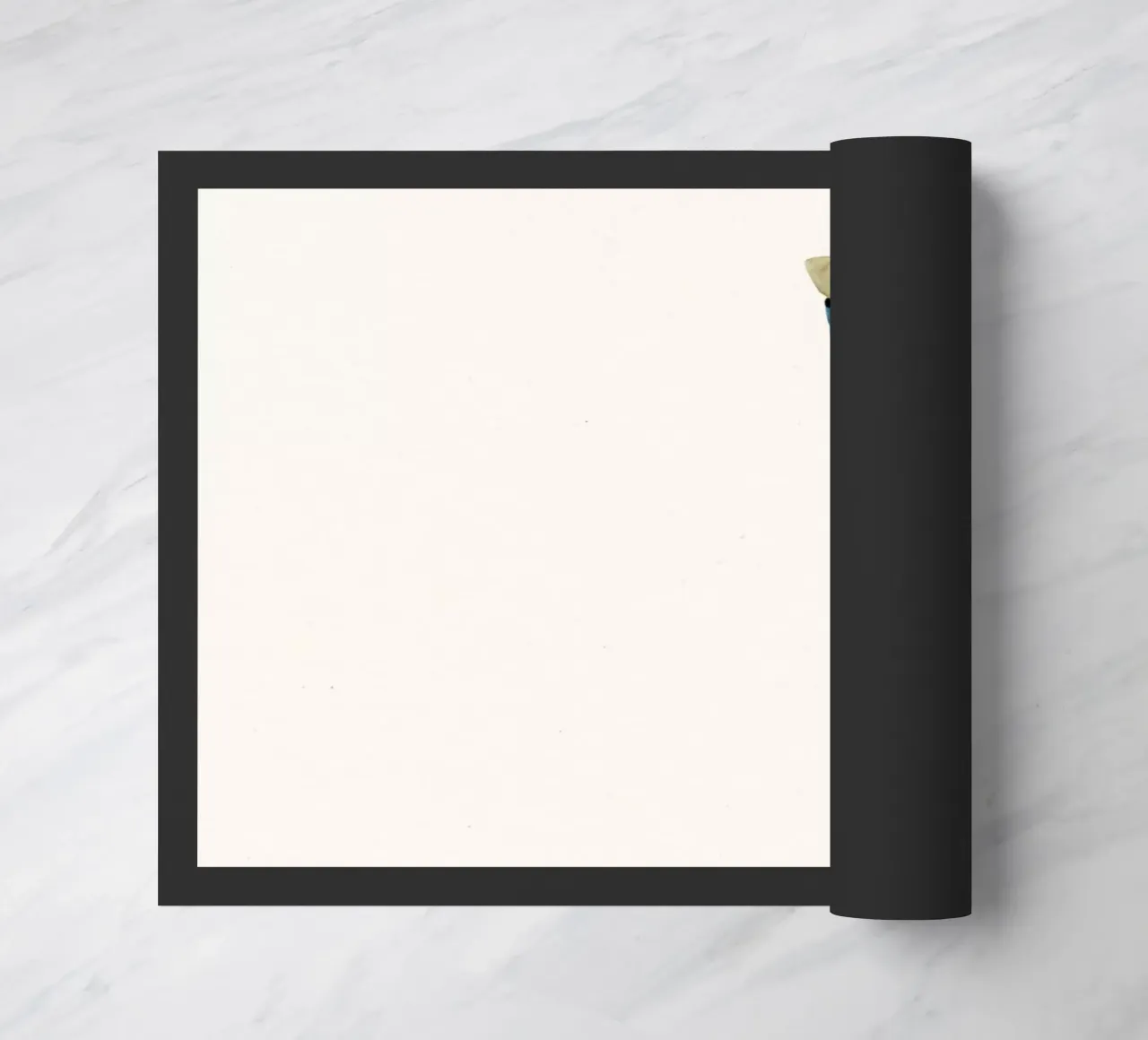 Discesa zerbino da Cassia Beck Collage