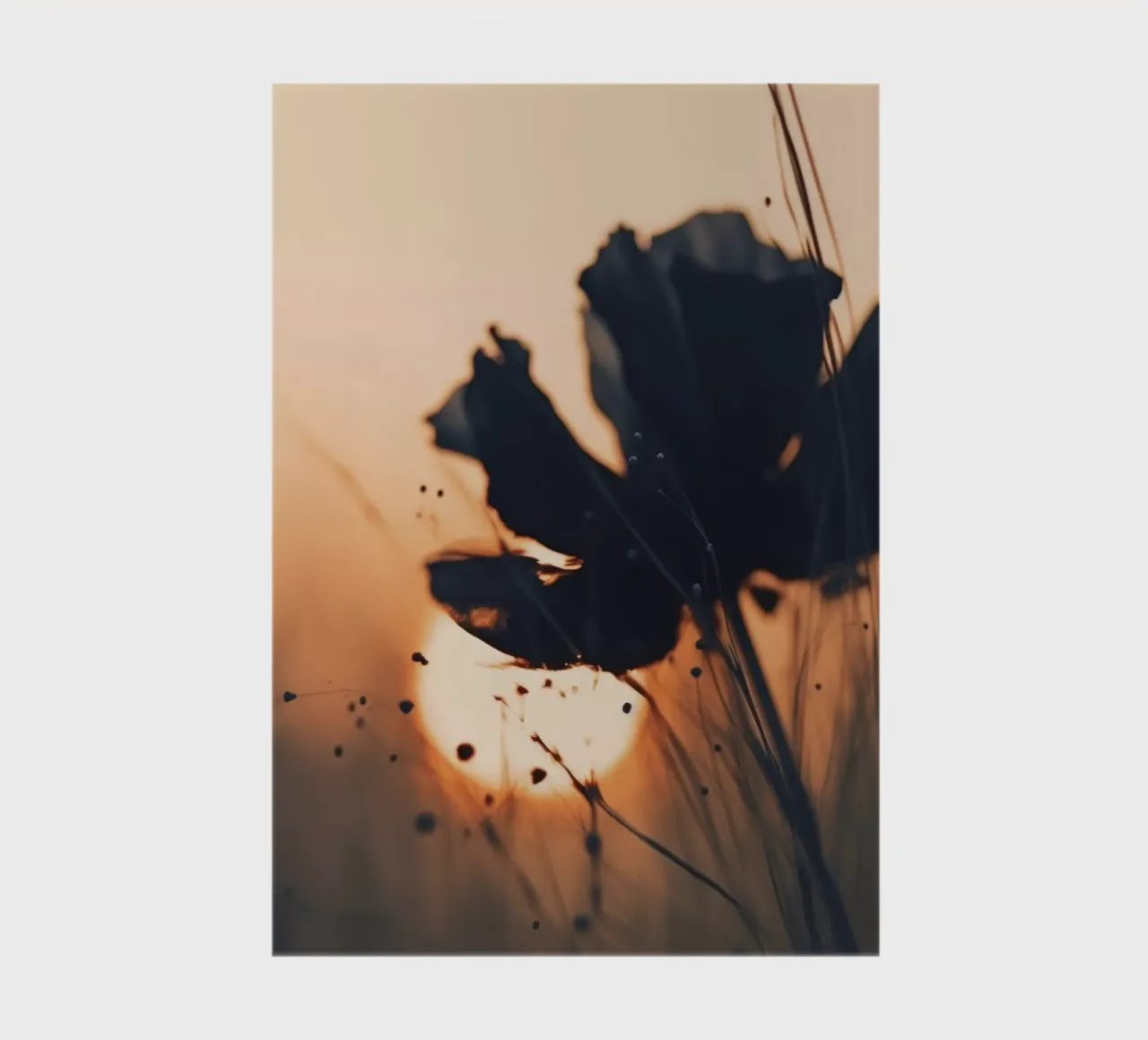 Before Sunset No 4 notebook by treechild