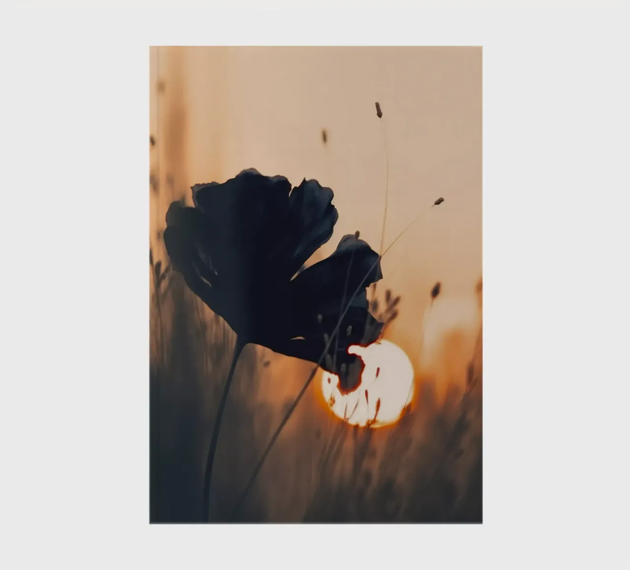 Before Sunset No 2 notebook by treechild