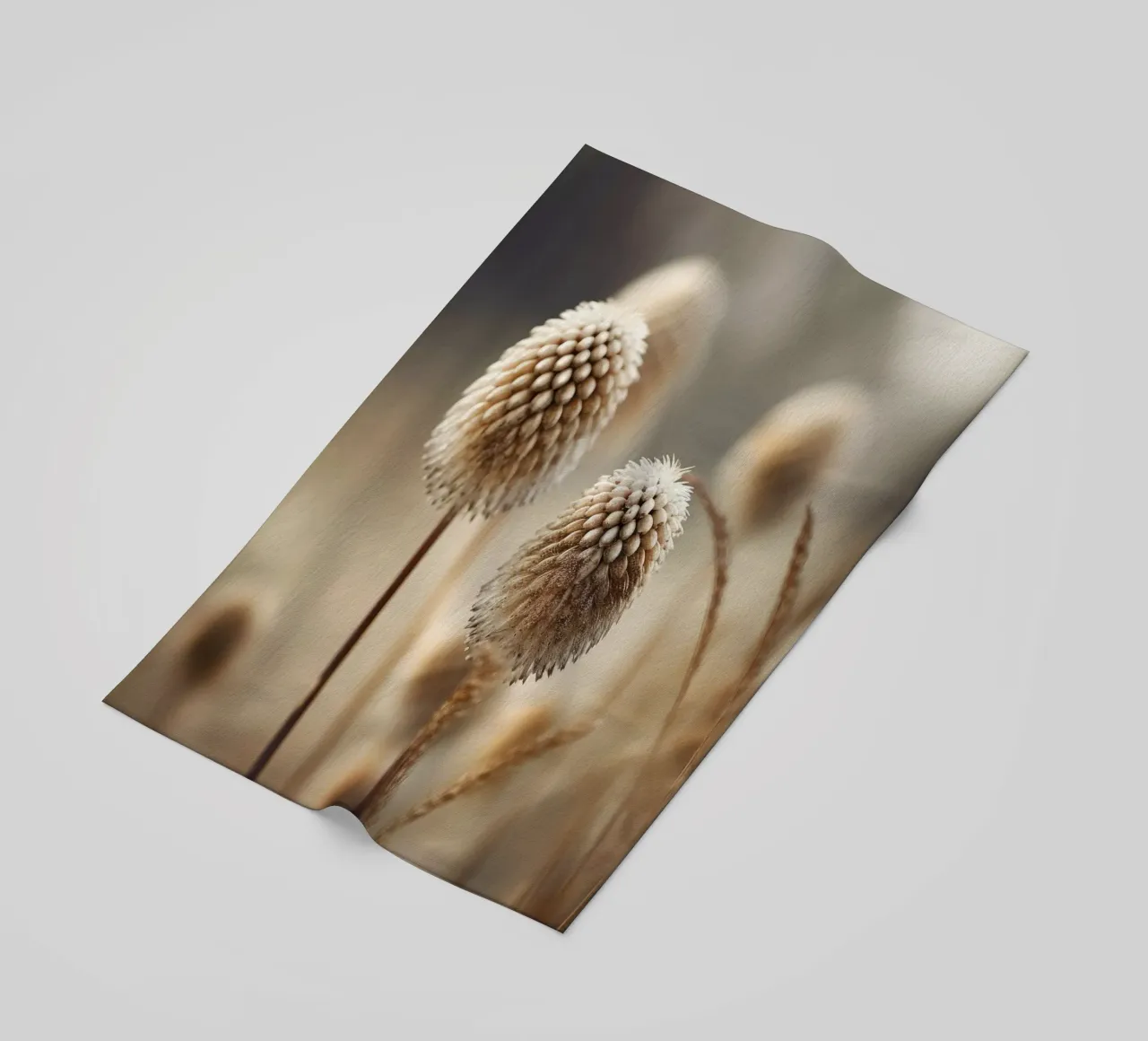 Pastel Nature Macro No 2 telo mare da treechild