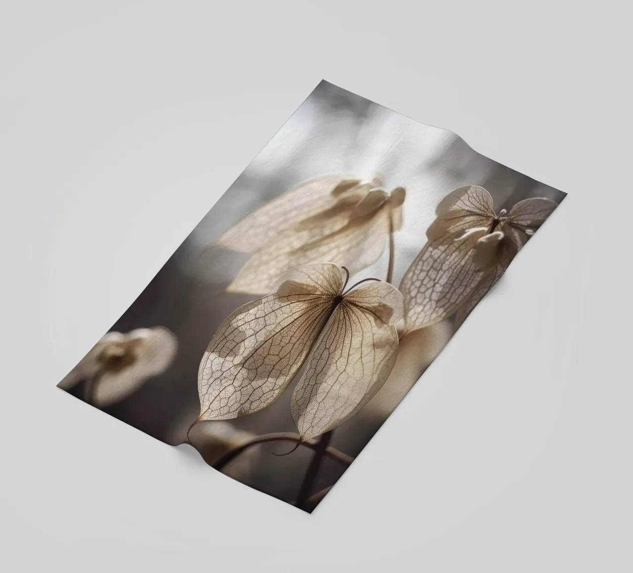 Pastel Nature Macro No 3 telo mare da treechild