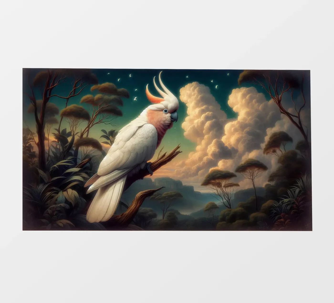 CACATOI pellicola backlit da RUBIANT ART