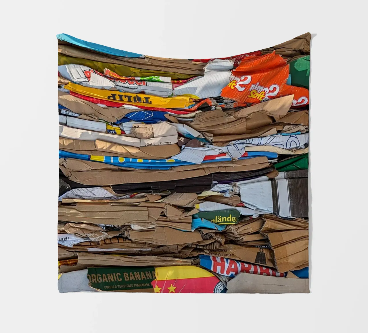 Art or Trash coperta in pile da Amy & Kurt