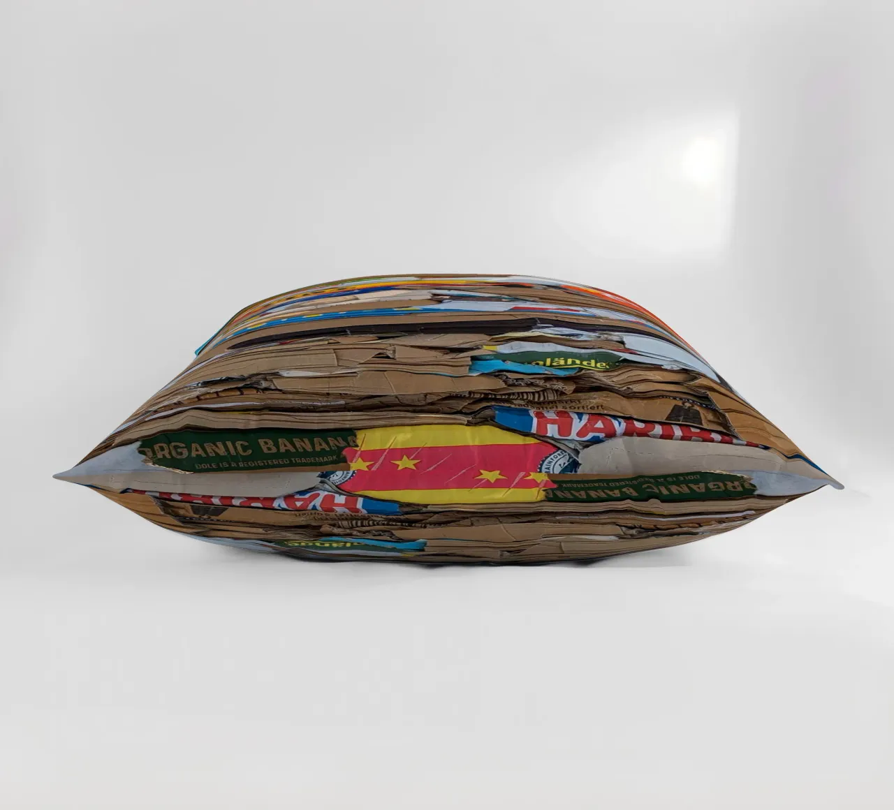 Art or Trash cuscino da Amy & Kurt