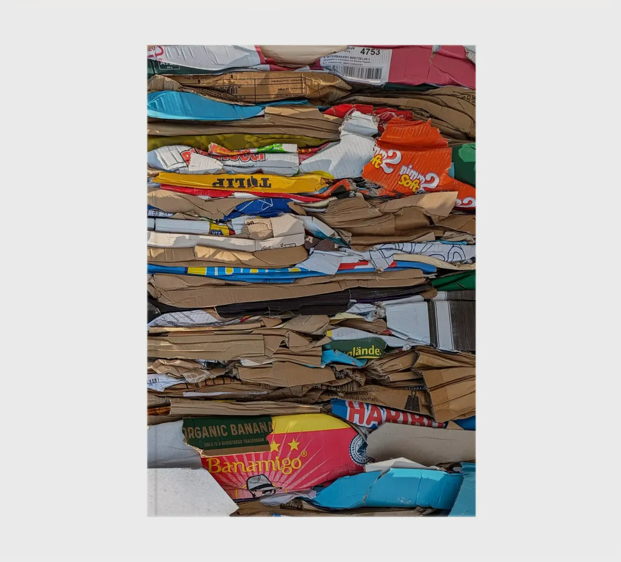 Art or Trash notebook by Amy & Kurt