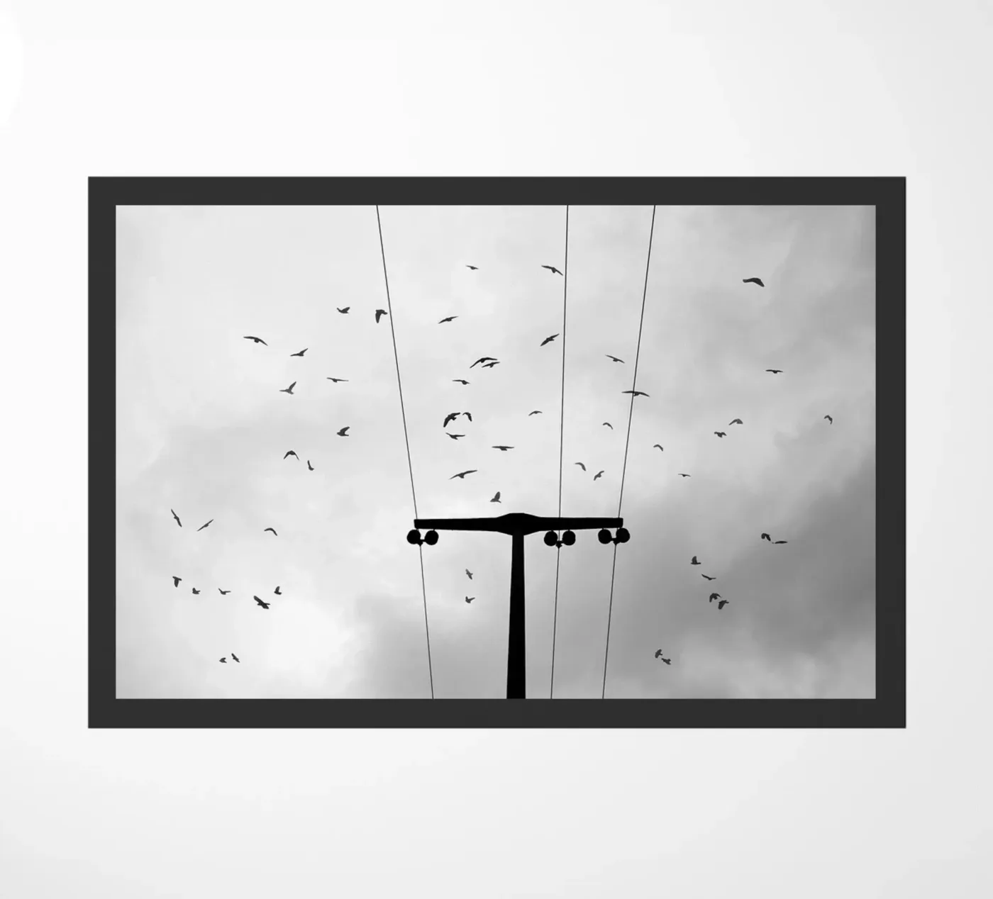 Birds doormat by Amy & Kurt