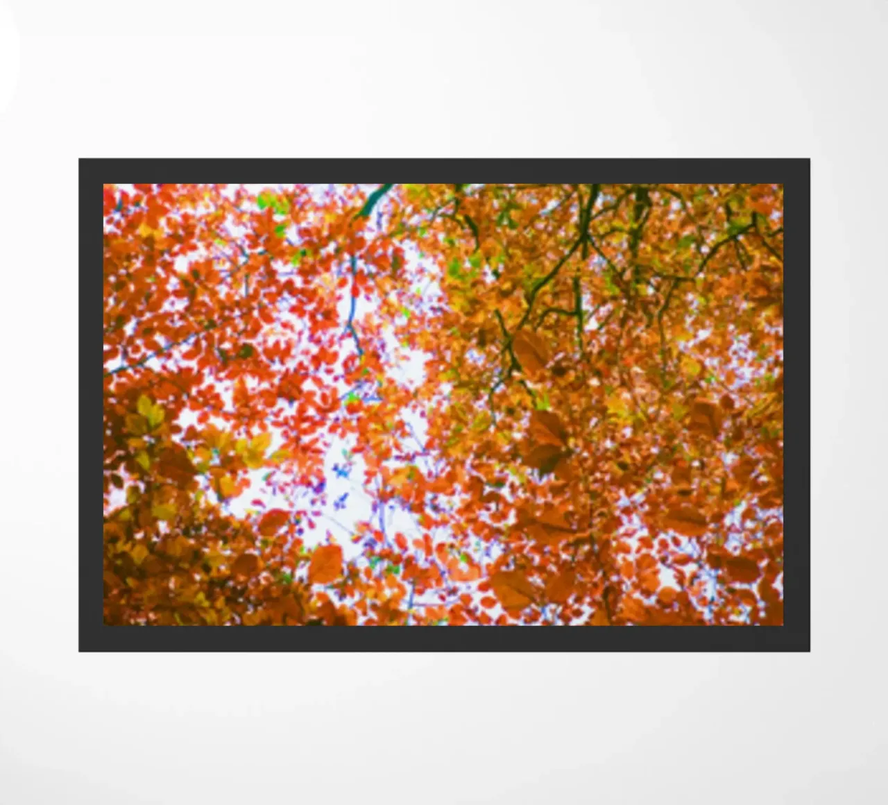Foglie d'autunno zerbino da Kerry Gerdes Photography