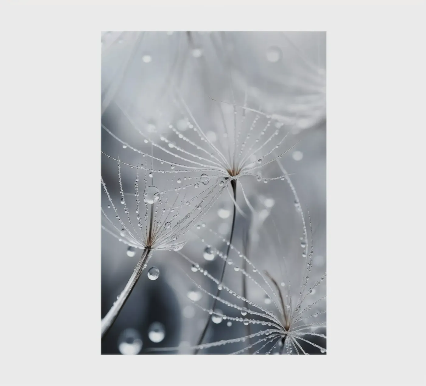 Tiny Wet World notebook by treechild