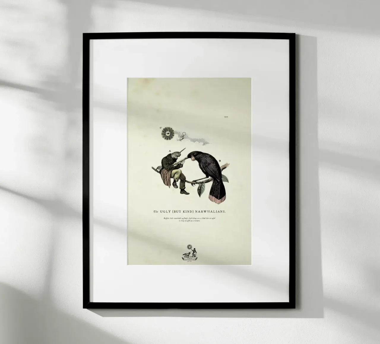 The kind narwhalians carta hahnemühle da Matteo Morelli