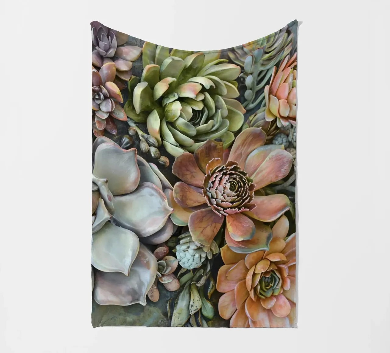Giardino verticale di succulente botaniche coperta in pile da Andrea Haase Floral Passion