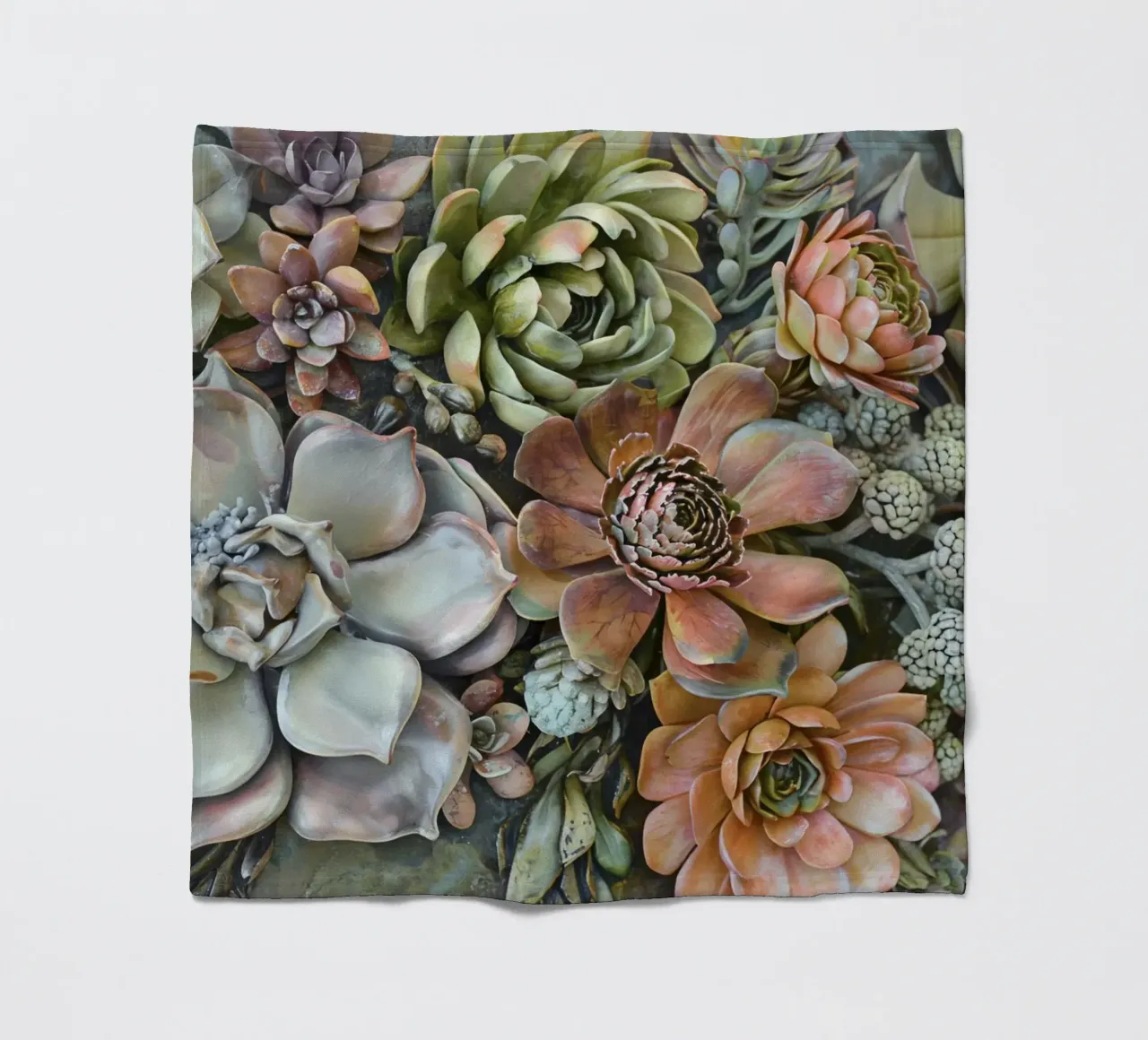 Giardino verticale di succulente botaniche coperta in pile da Andrea Haase Floral Passion