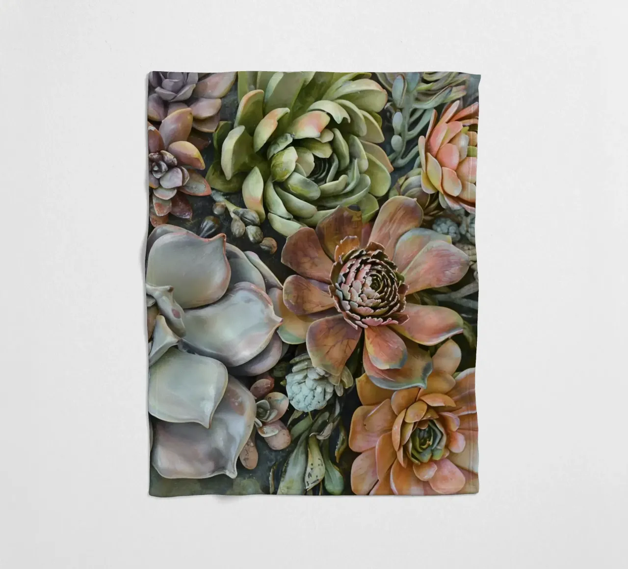 Giardino verticale di succulente botaniche coperta in pile da Andrea Haase Floral Passion