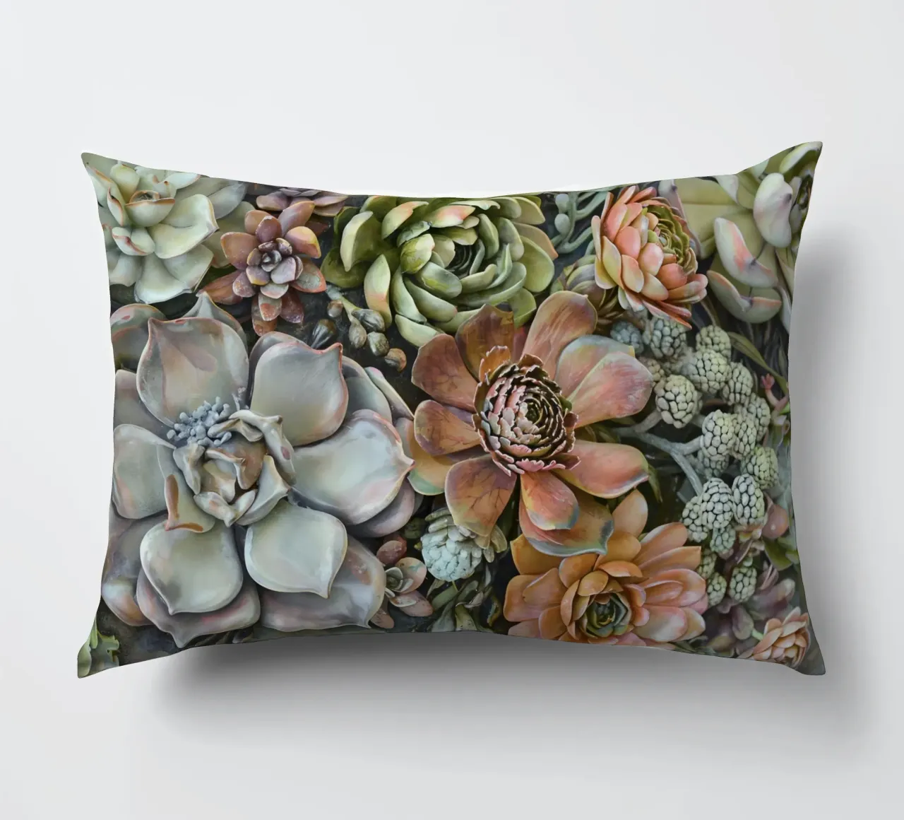 Giardino verticale di succulente botaniche cuscino da Andrea Haase Floral Passion