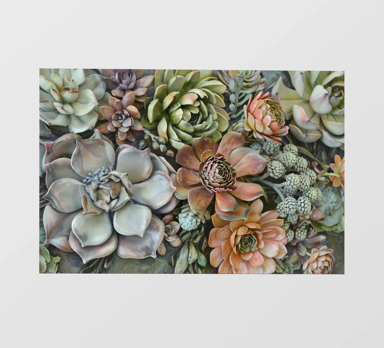 Giardino verticale di succulente botaniche telo in pvc da Andrea Haase Floral Passion