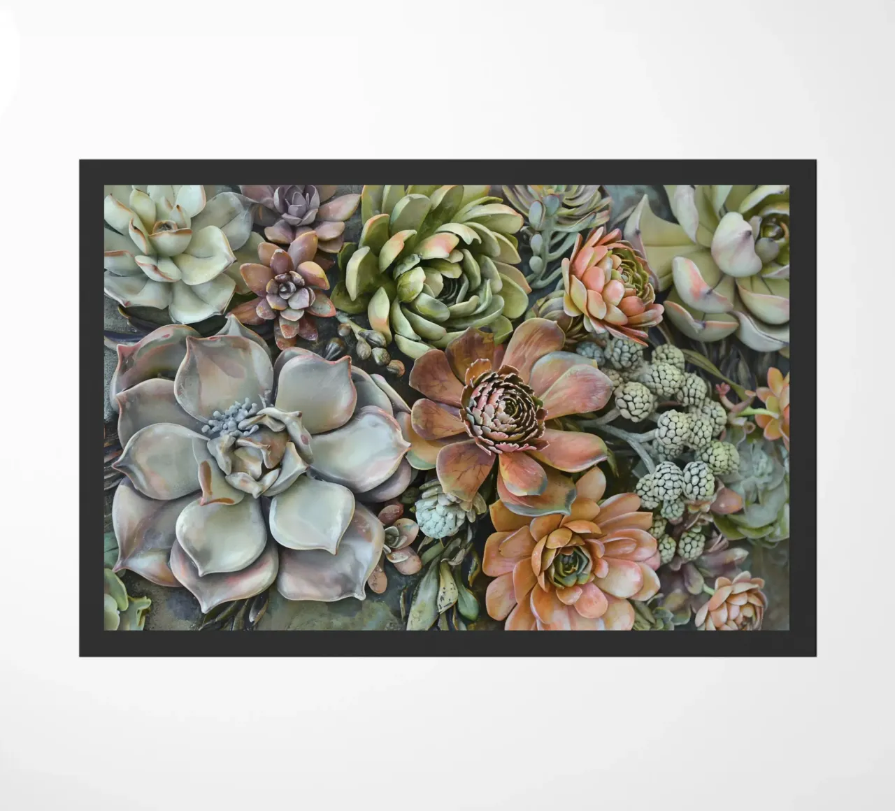 Giardino verticale di succulente botaniche zerbino da Andrea Haase Floral Passion