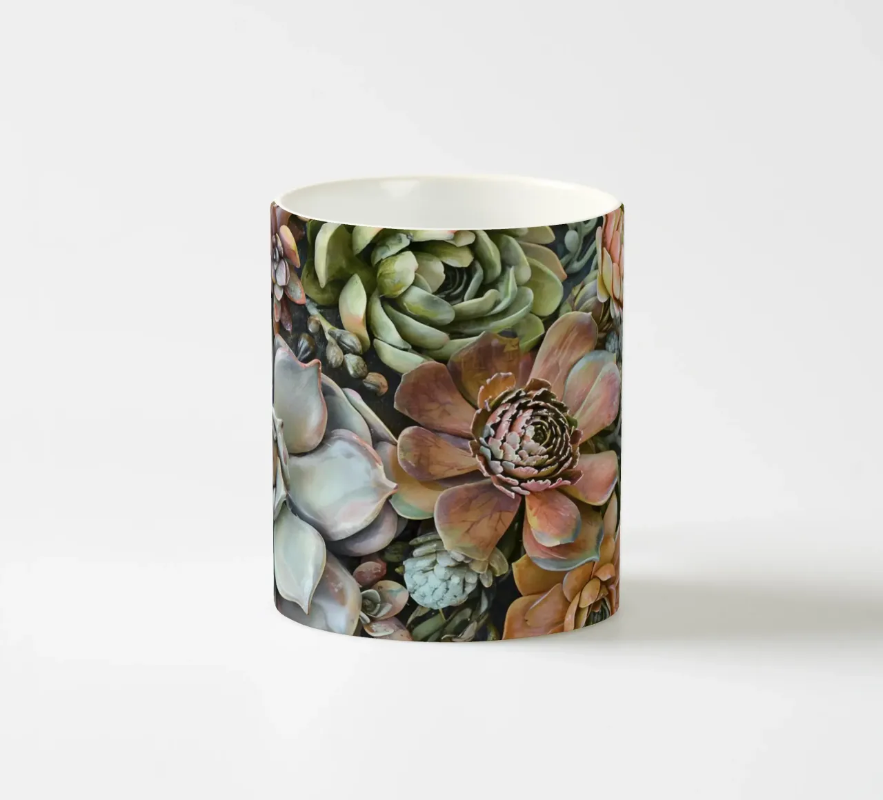Giardino verticale di succulente botaniche tazza in ceramica da Andrea Haase Floral Passion