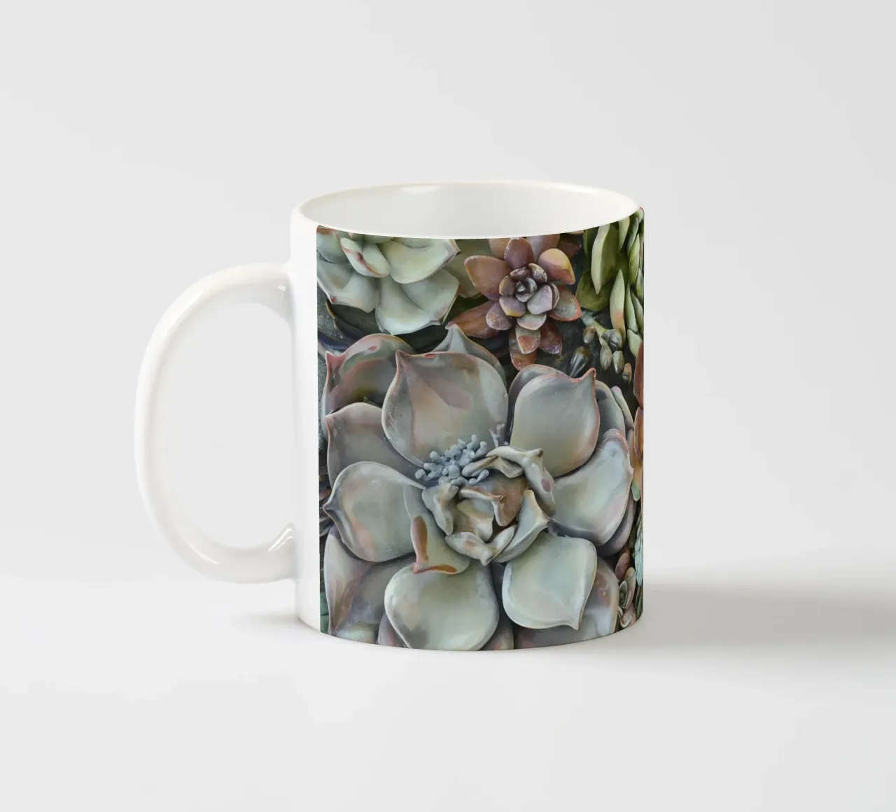 Giardino verticale di succulente botaniche tazza in ceramica da Andrea Haase Floral Passion