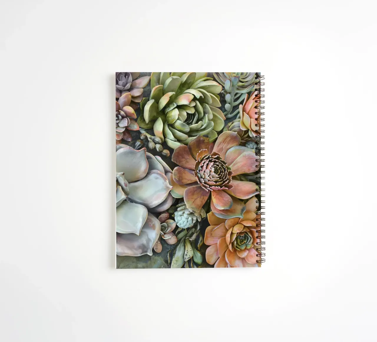 Giardino verticale di succulente botaniche diario ad anelli da Andrea Haase Floral Passion