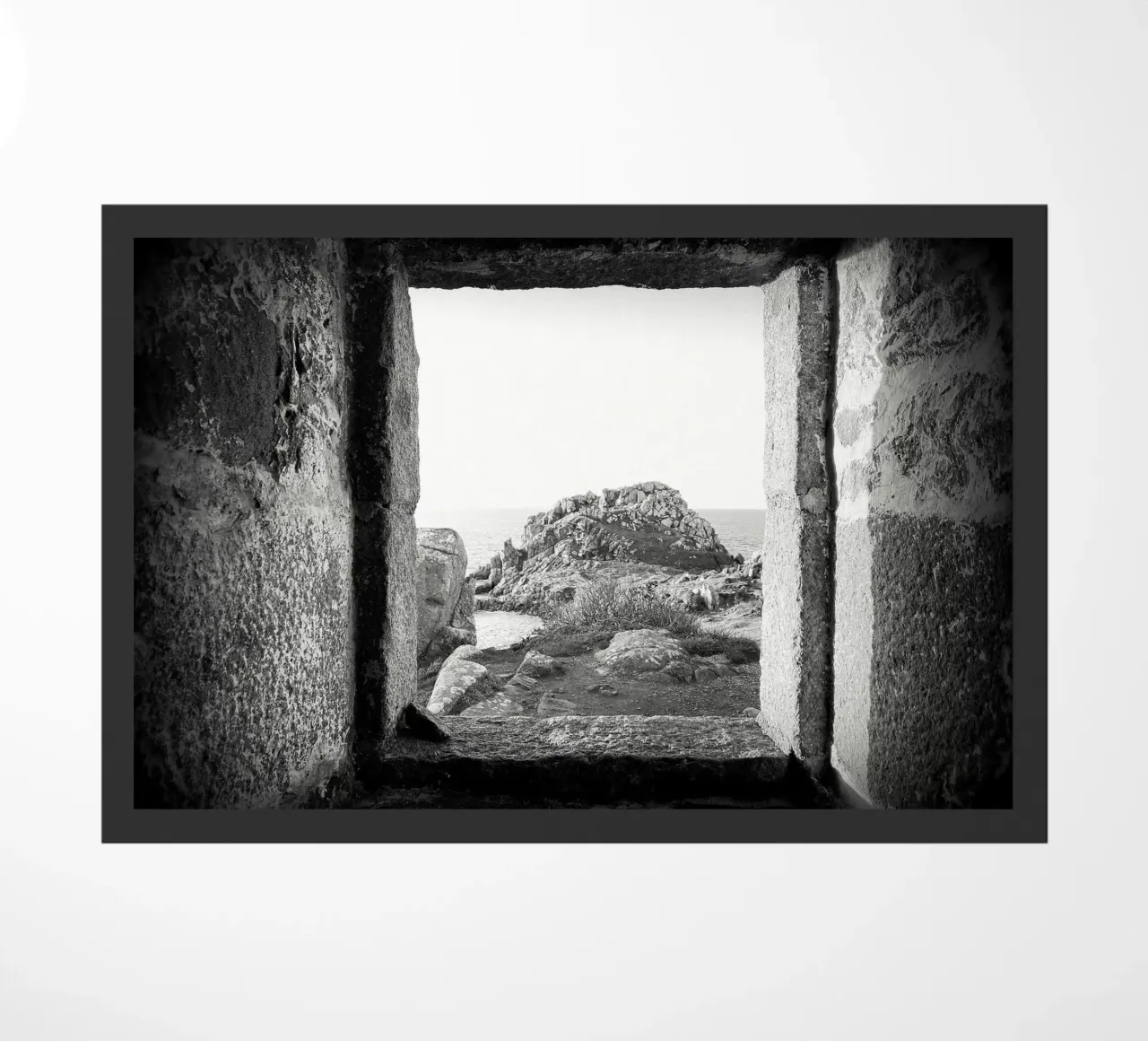 FAA53 zerbino da Thierry vobmann photography