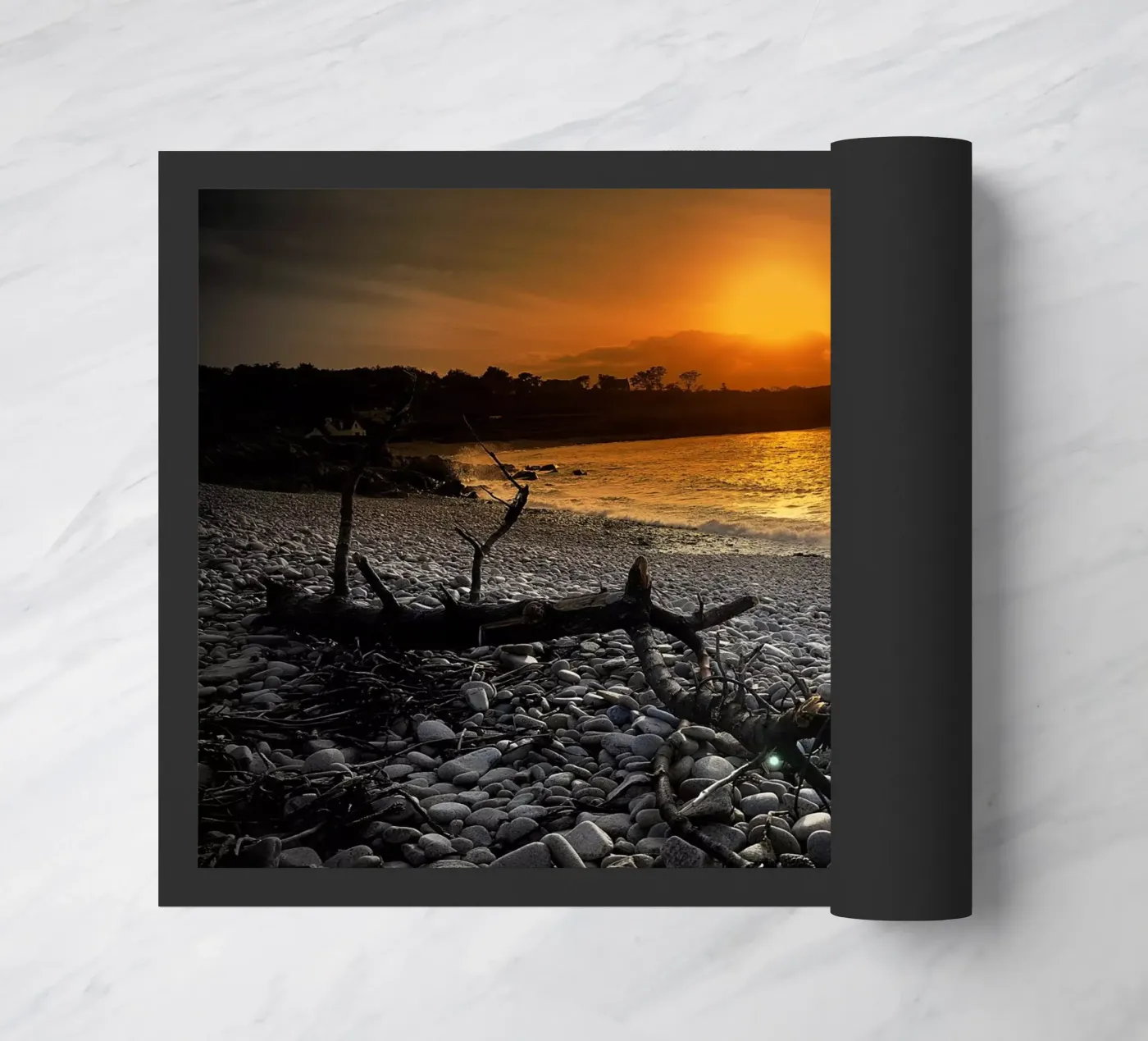 FAA54 zerbino da Thierry vobmann photography